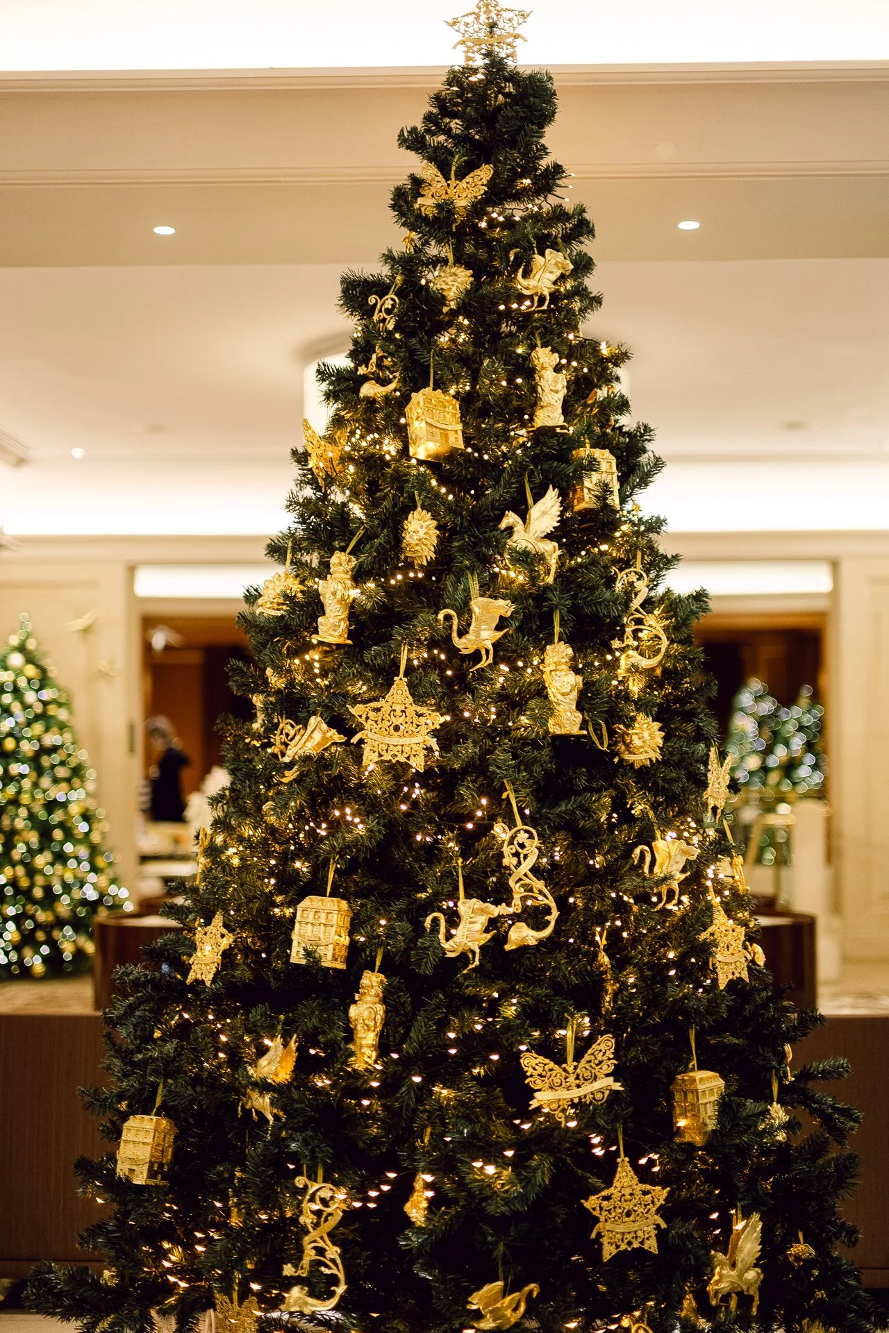 FS Eng 21.12.2025-3.jpg