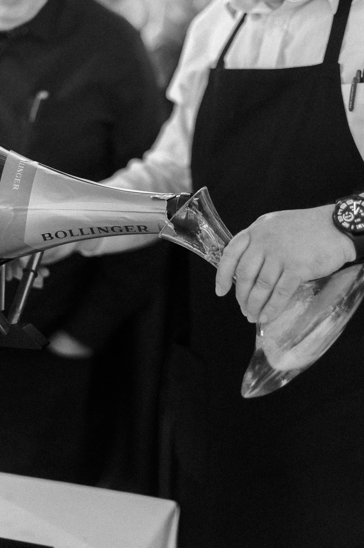 villa richter 60-368.jpg