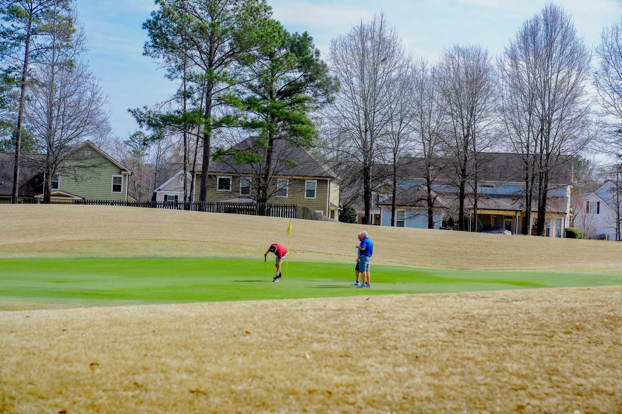 People playing golf on a sunny day, with houses and trees in the background.