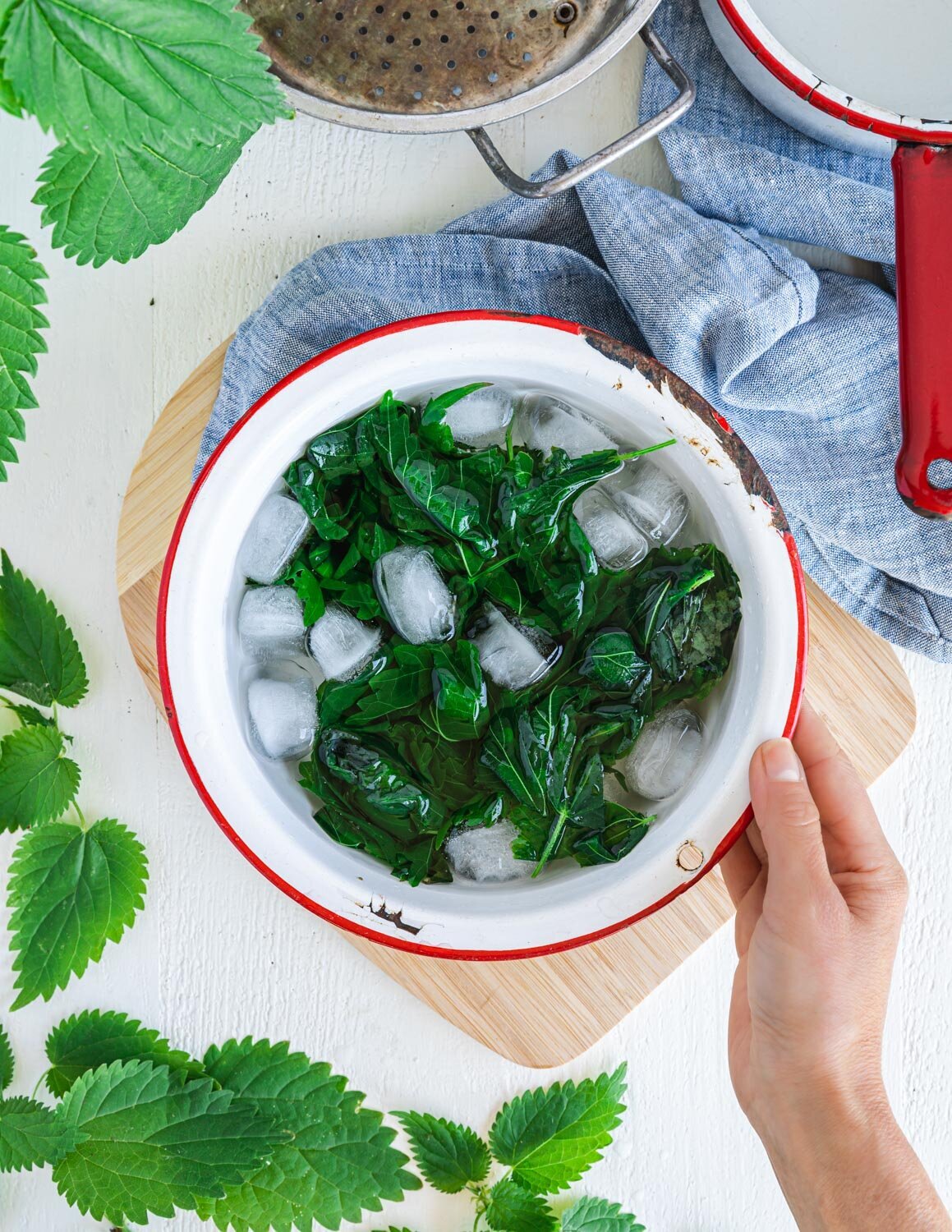 How to Cook Stinging Nettles for Eating — Vegetafull by Carol