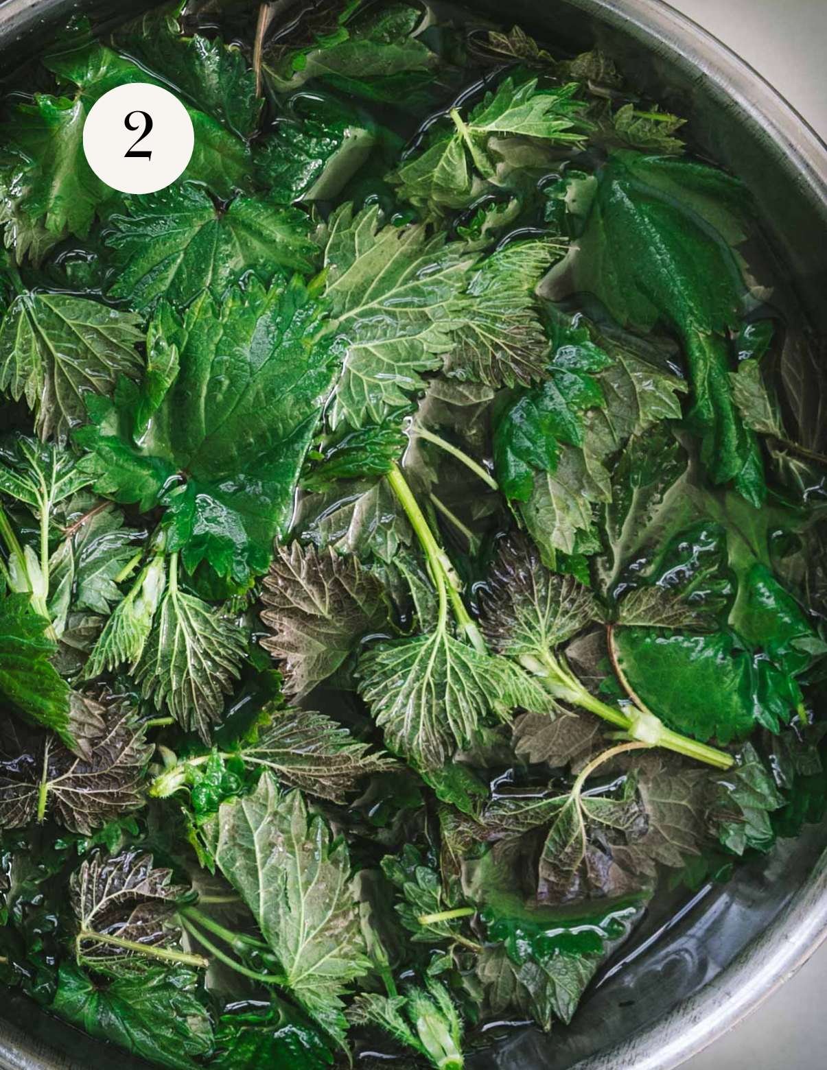 A bowl of nettle leaves in a big bowl of water.