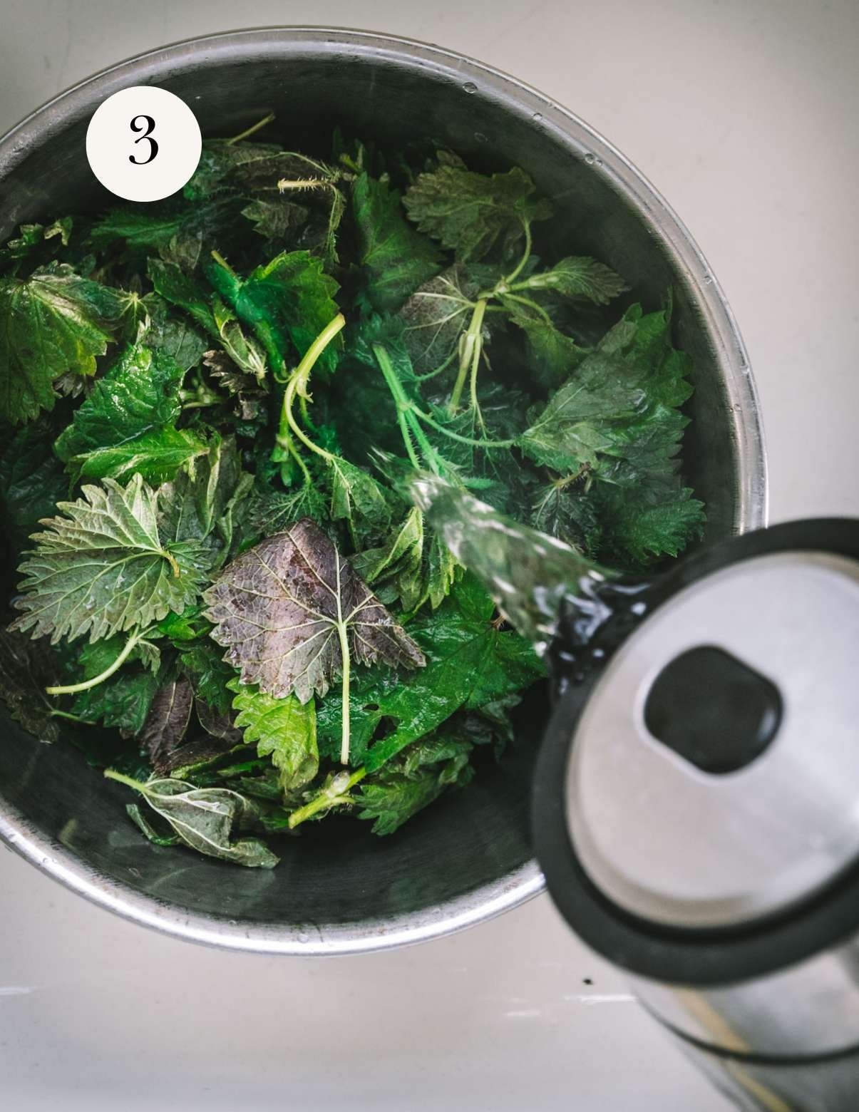 Pouring boiling water over stinging nettles.