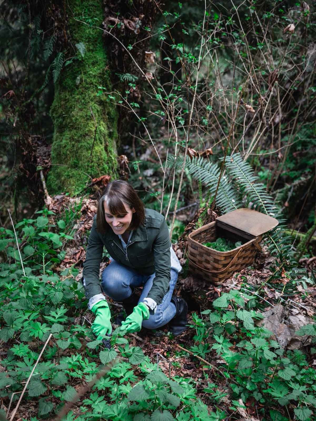 Hiya February! 🪴 Woohoo, it&rsquo;s officially time to start planning the garden! 

This year I&rsquo;m going to make good use of the nettles that are already starting to poke up out of the ground. 🌿 You can mix them with brown sugar to make fermen