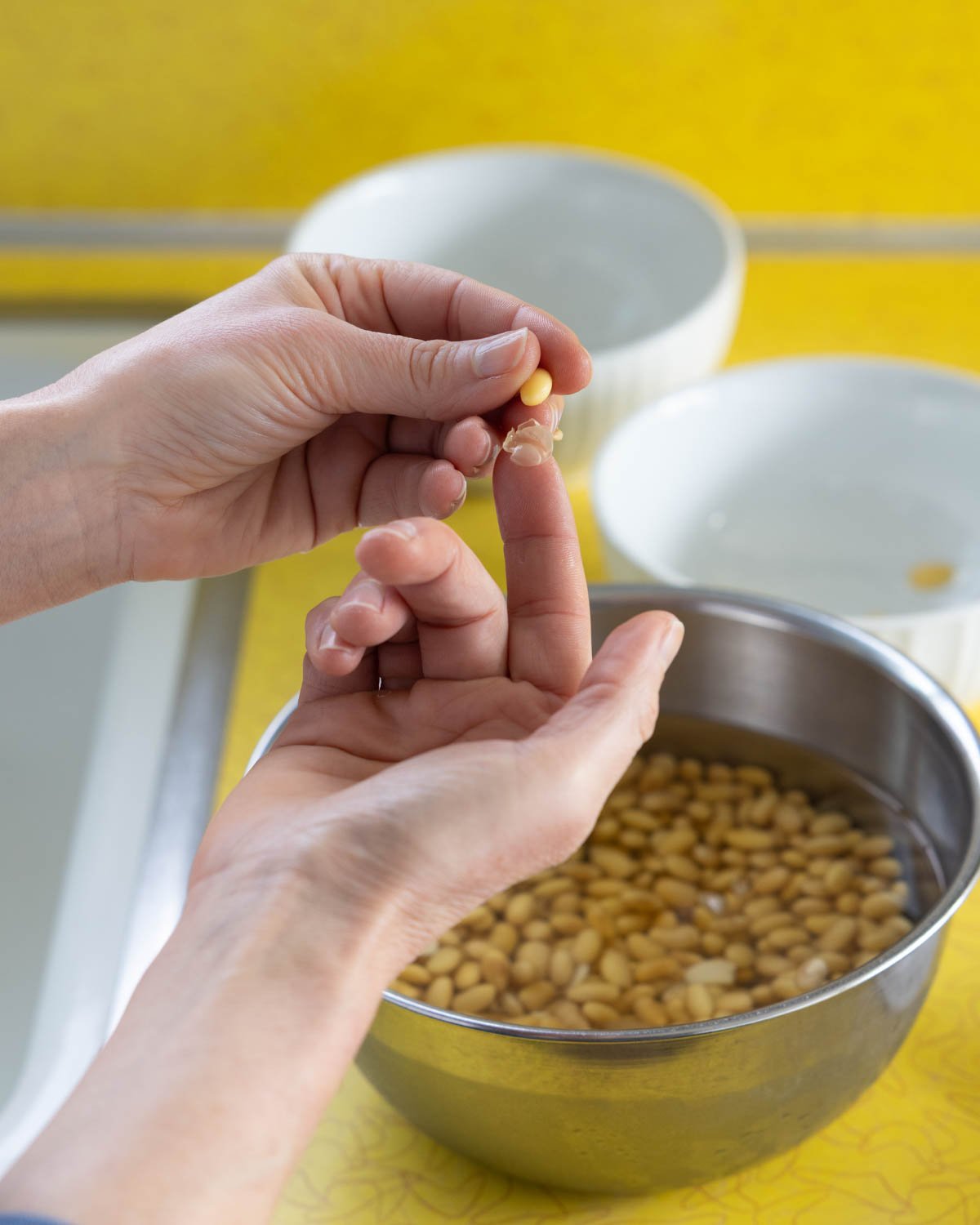 a single soybean skin