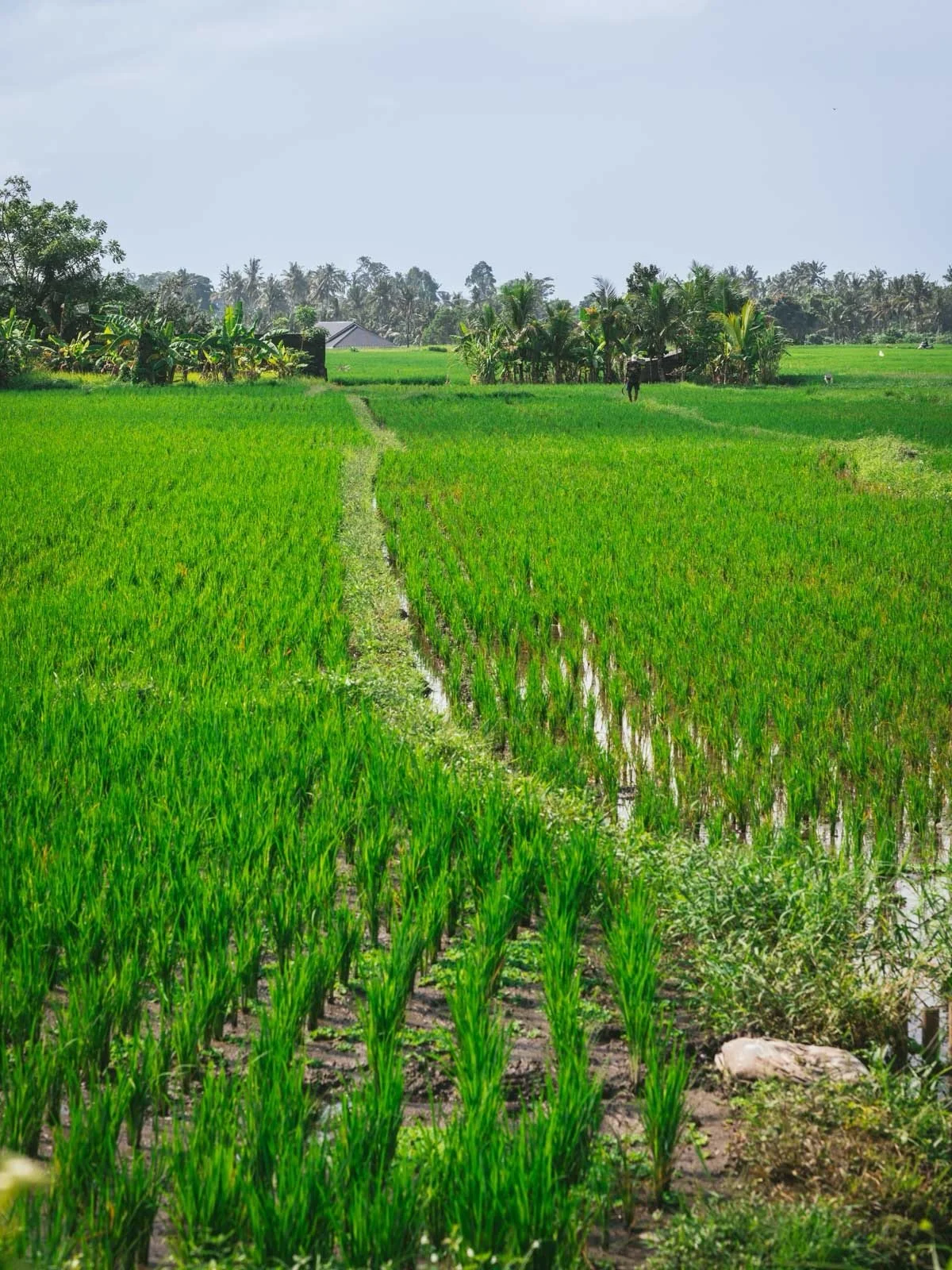 ❤️ If food is your love language read this!👇🏼

Join me and Monica, owner @foghorntastingroom for an evening of food, wine, and flavor discovery! 

🔹Taste of the Silk Road / A Fog Horn Flavor Pairing Experience 

🔹Saturday, May 16 / 6:00 - 8:30 pm