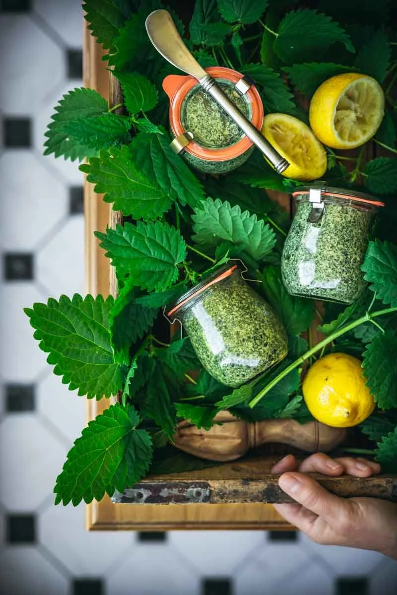 Vegan Stinging Nettle Pesto