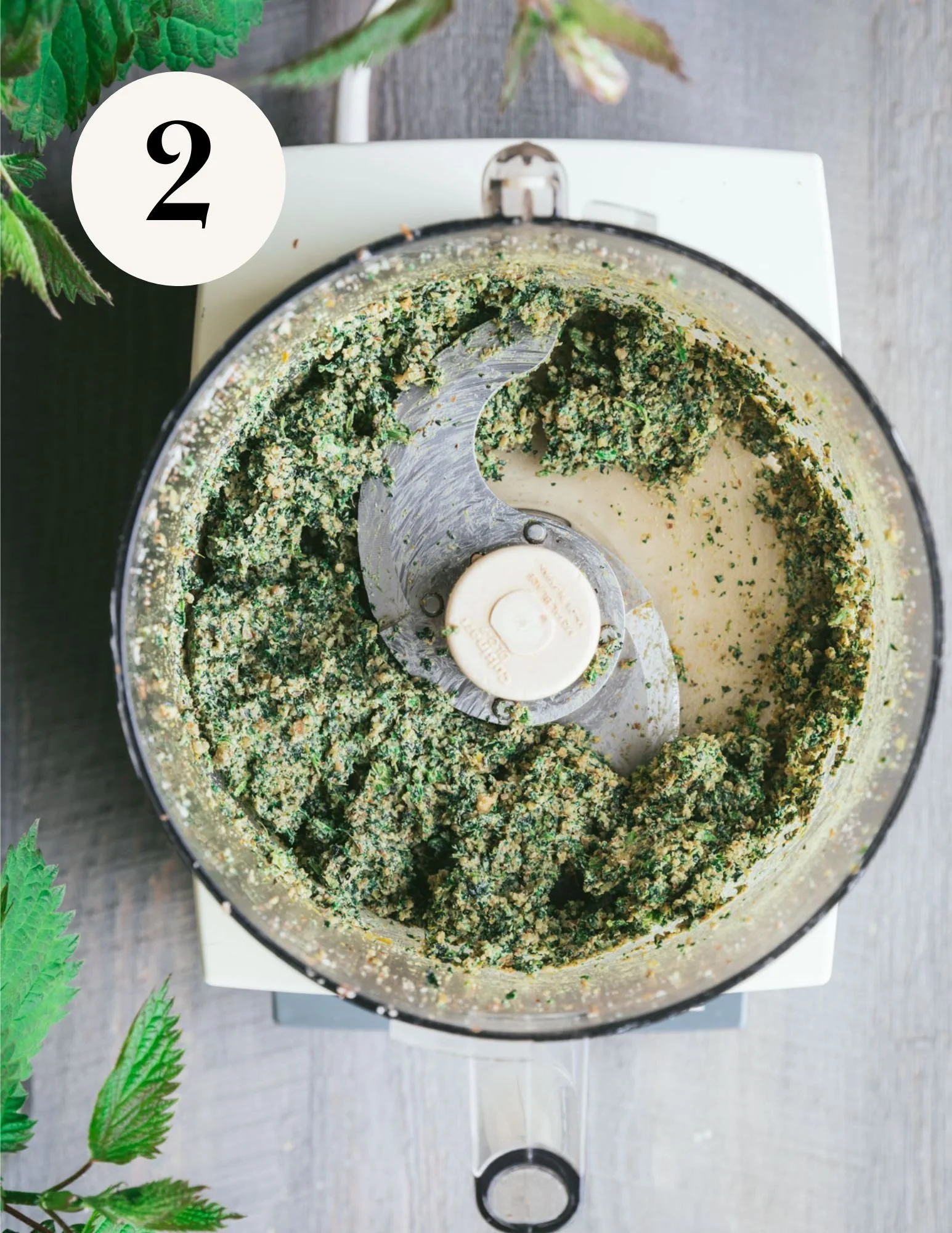 add all pesto ingredients, but olive oil, to a food processor