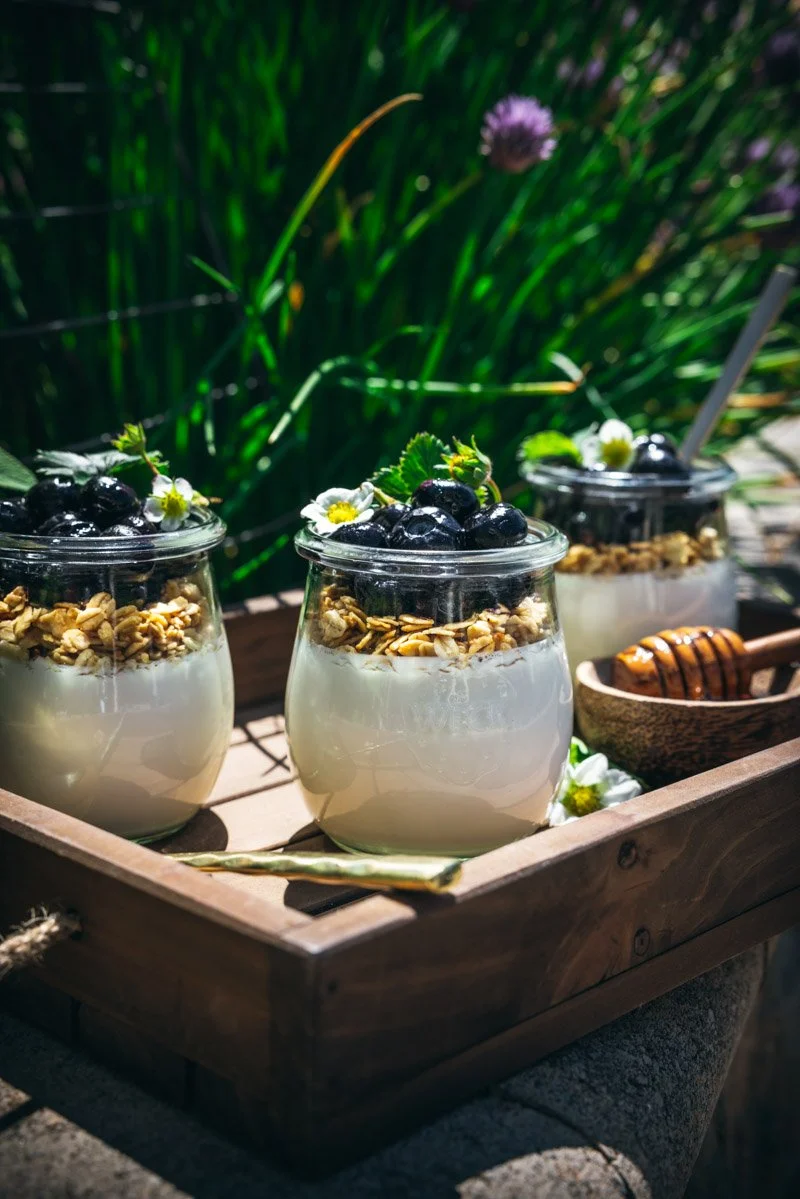 soy milk yogurt with toppings