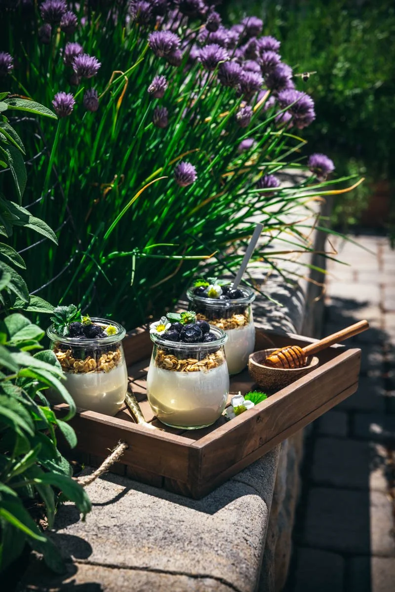 soy milk yogurt jars out in the garden