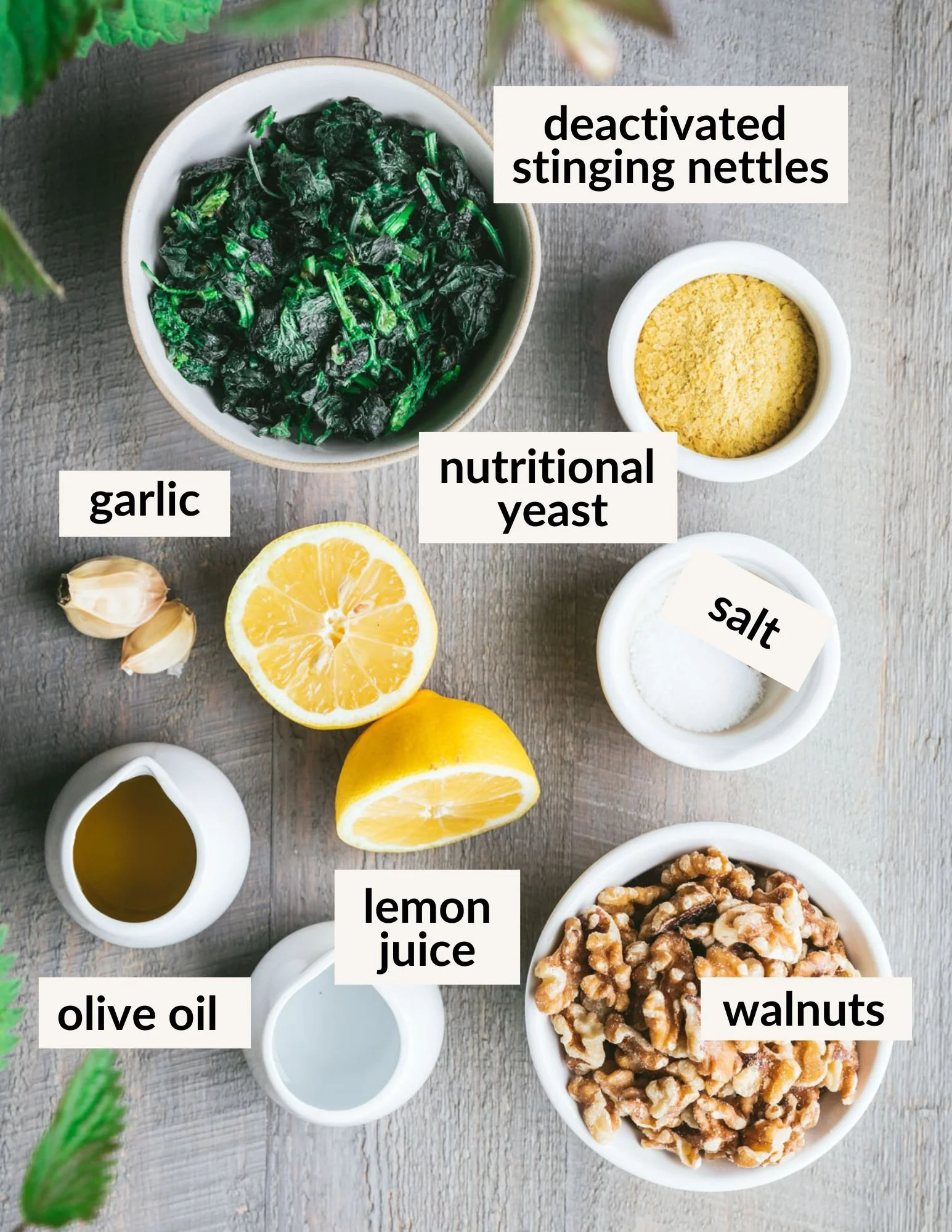 ingredients for vegan nettle pesto