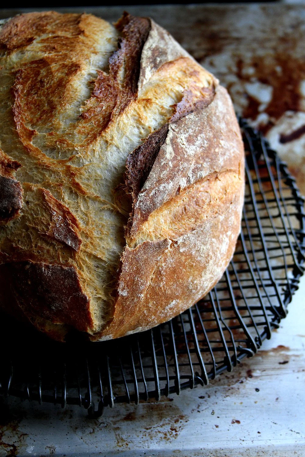 sourdough boule