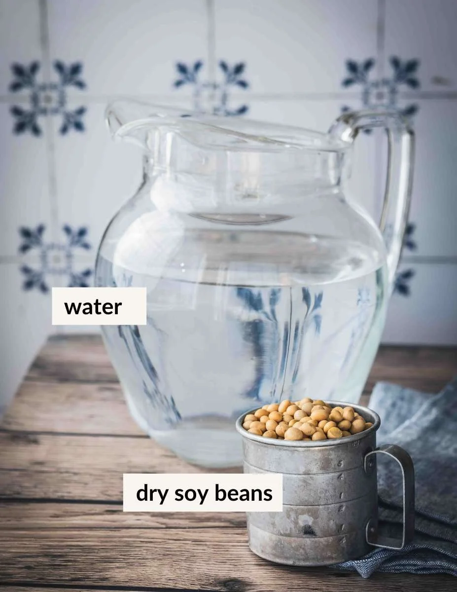 2 ingredients for making soy milk at home