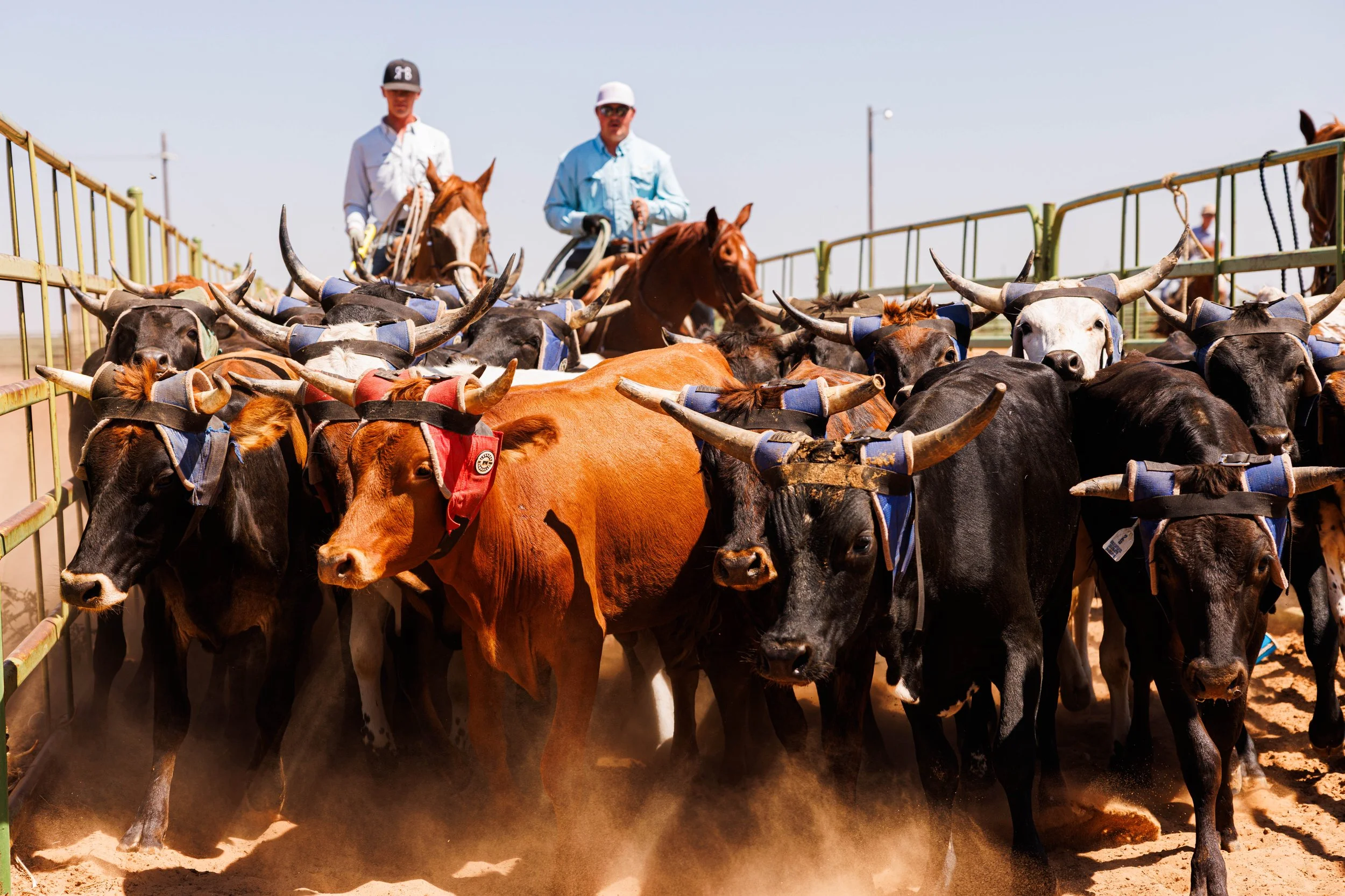 South Plains College, Levelland, TX