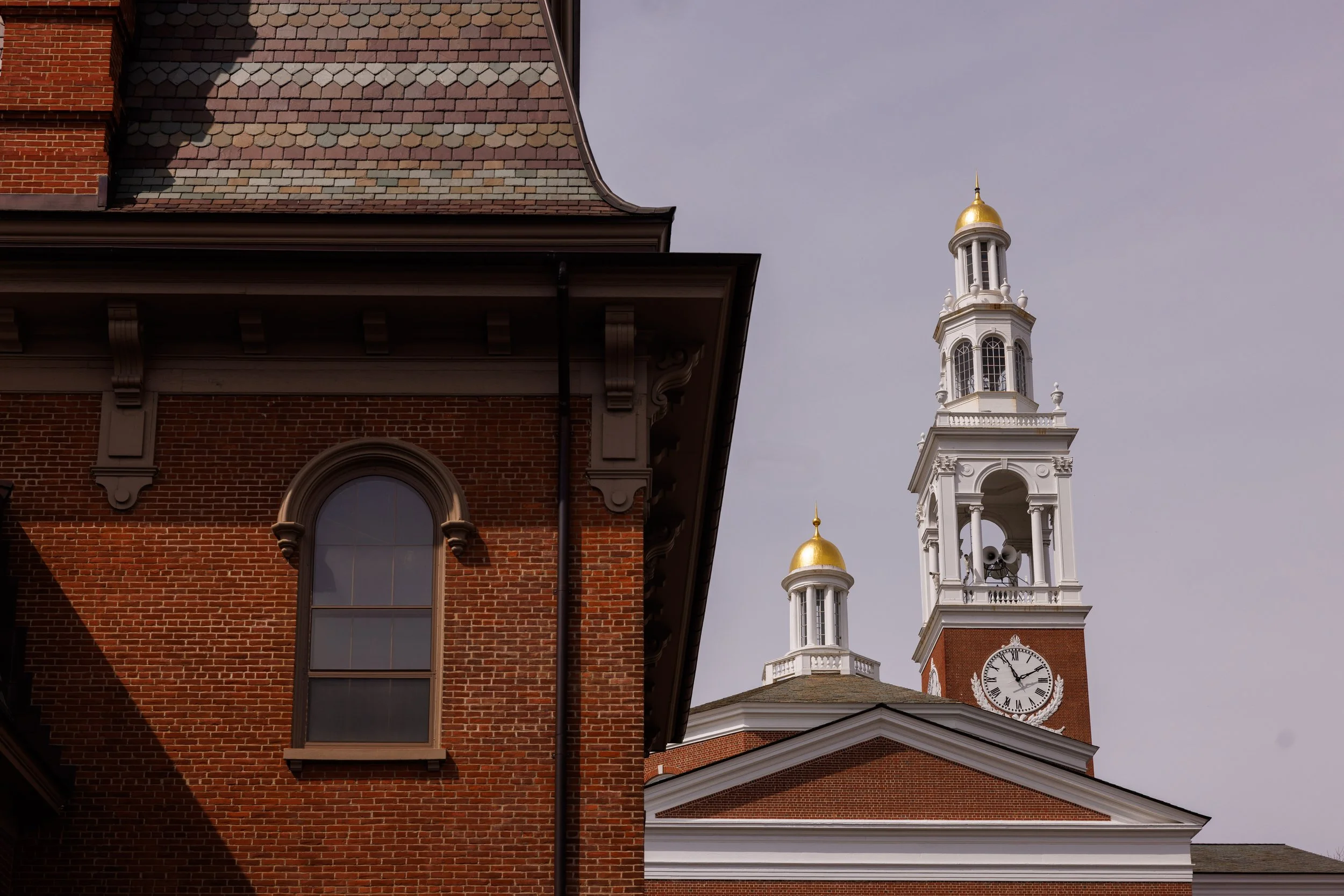 FJG-UVM-1219.jpg