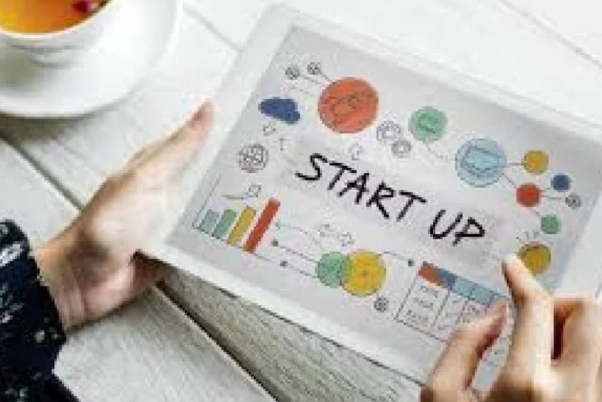 Skyroot, Pocket FM, Zepto, BluSmart among India's top 20 start-ups, as per LinkedIn report