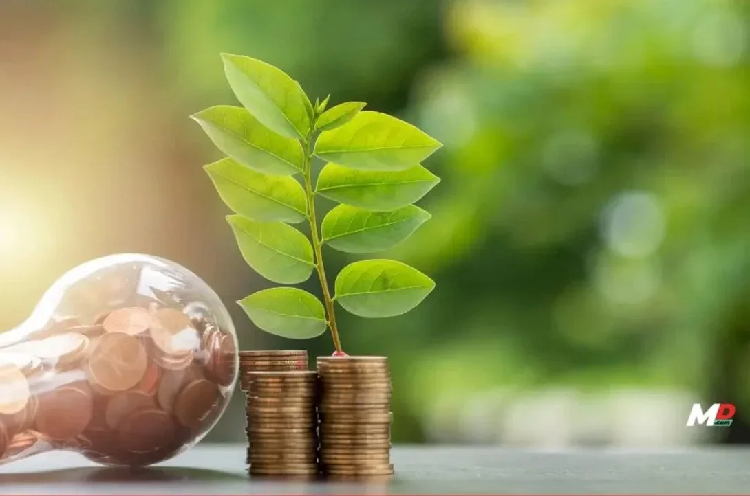 Top Green Finance Platforms Driving the Green Revolution in India in 2024