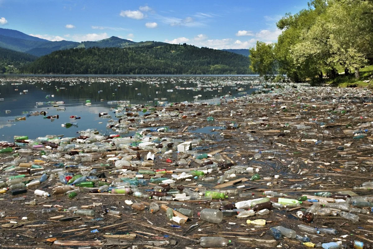 DRAMA: Environmental activism in the performance work of Yin Xiuzhen