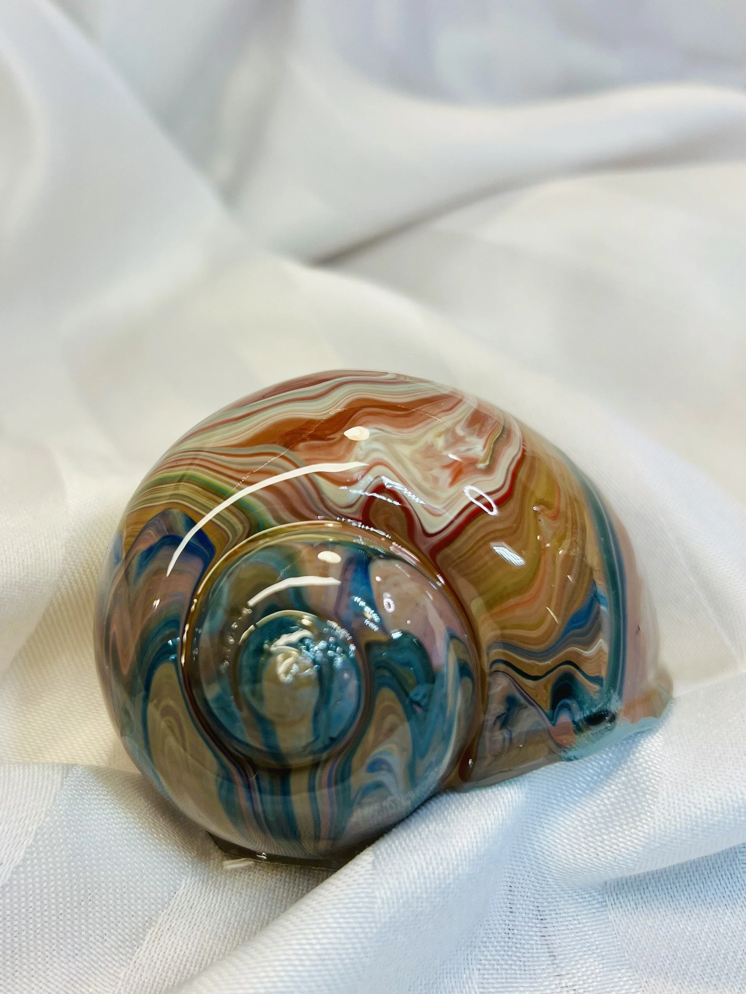 Savanna Desert  Snail Shell