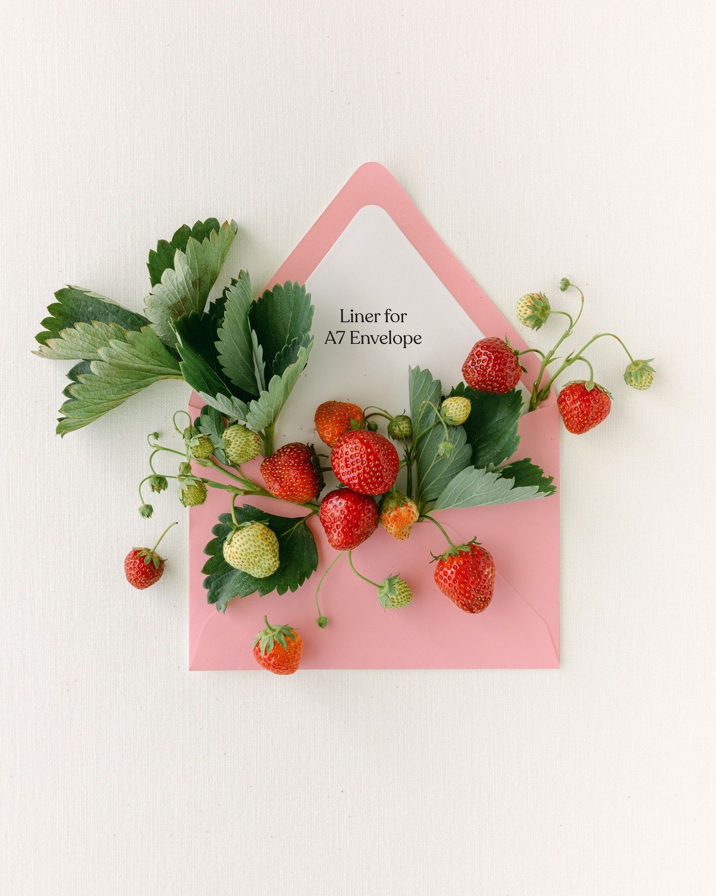 Next month we're re-releasing one of our favorite collections - Strawberry Fields. This collection is fresh, playful, and fine-art inspired. Ideal for weddings, social stationery, and special events, it's going to be your summer go-to!⁣
⁣
⁣
#statione