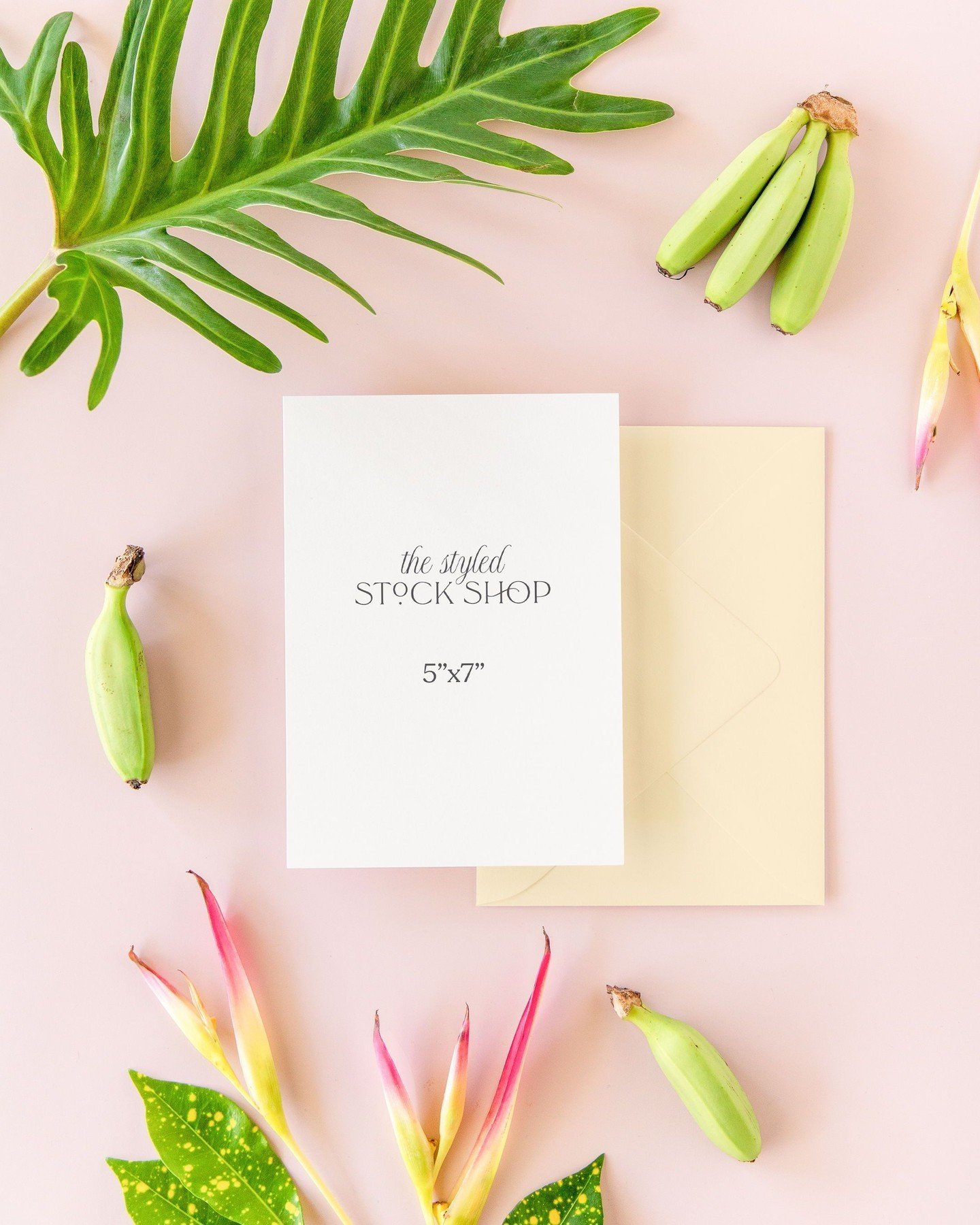 Did someone say tropical? ⁣
⁣
Whether you're creating for a destination event or you're ready to start celebrating the sunny days of summer, we've got you covered! The Tropicana collection is coming in hot this April! ⁣
⁣
#styledstockshop #styledstoc