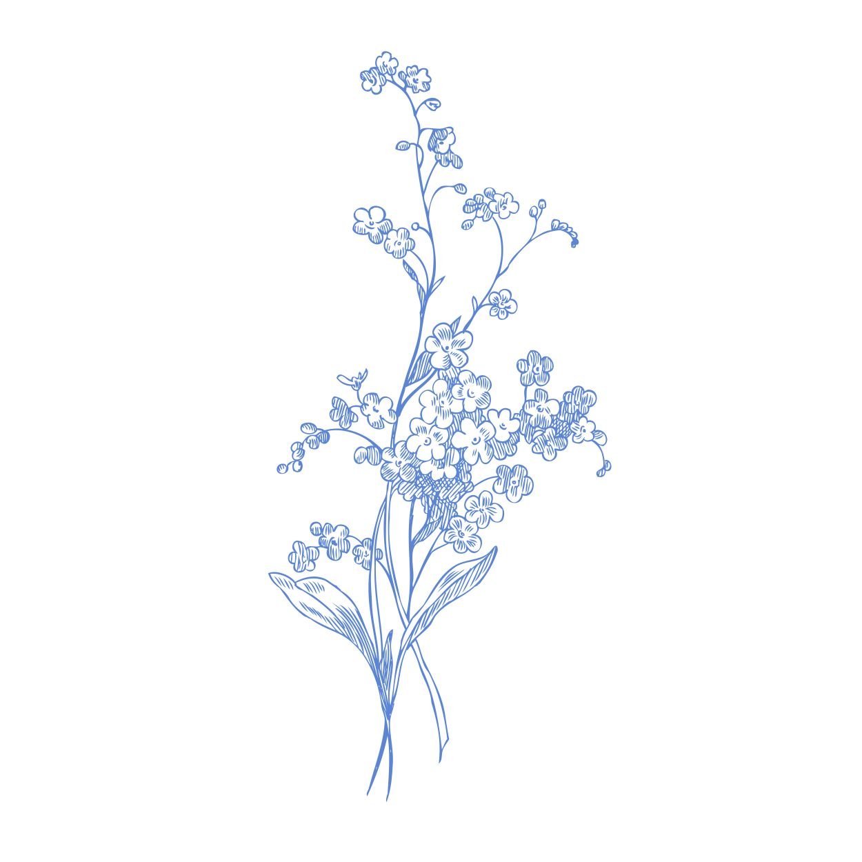 Spring Toile Forget-me-not-01.jpg