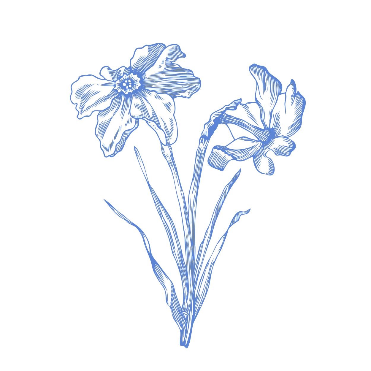 Spring Toile Daffodils-01.jpg