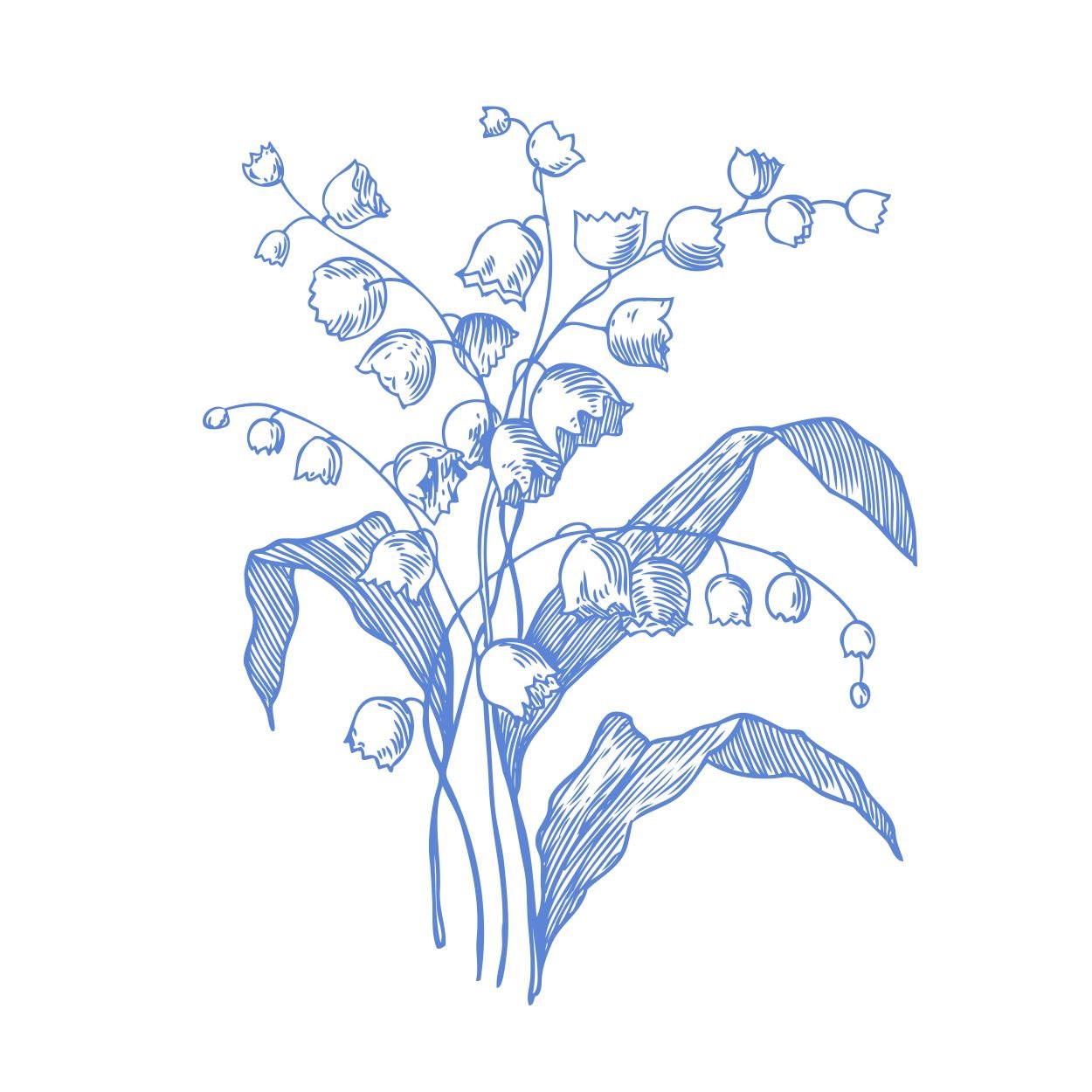 Spring Toile Pattern Lily of the valley-01.jpg