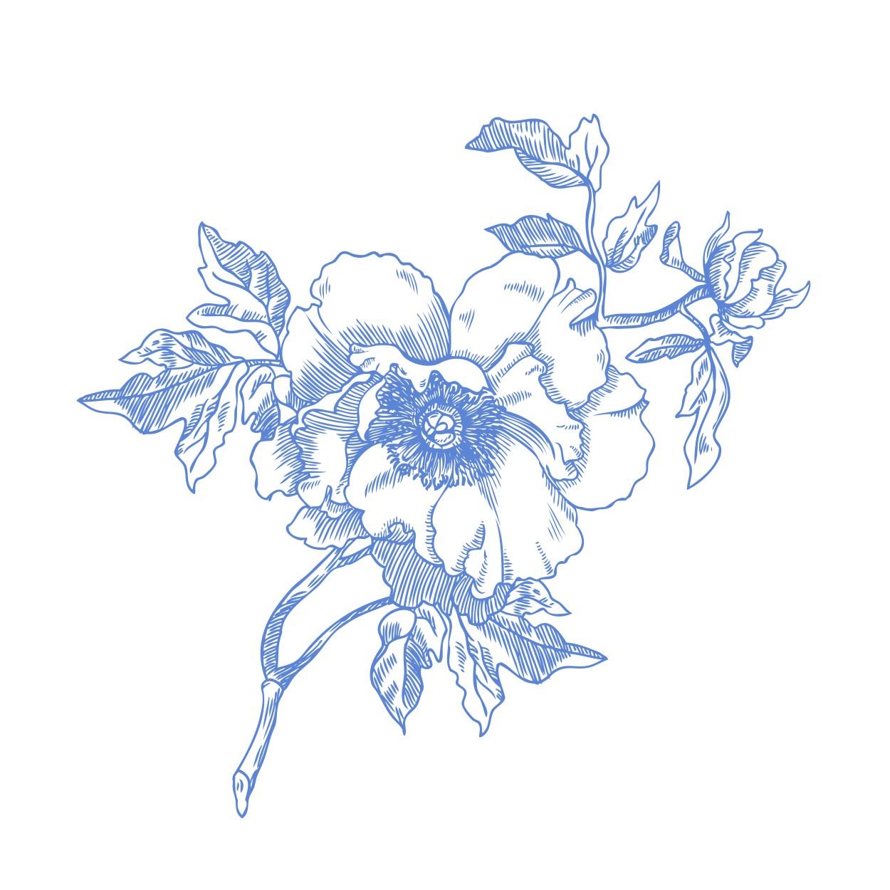 Spring Toile Peony-01.jpg