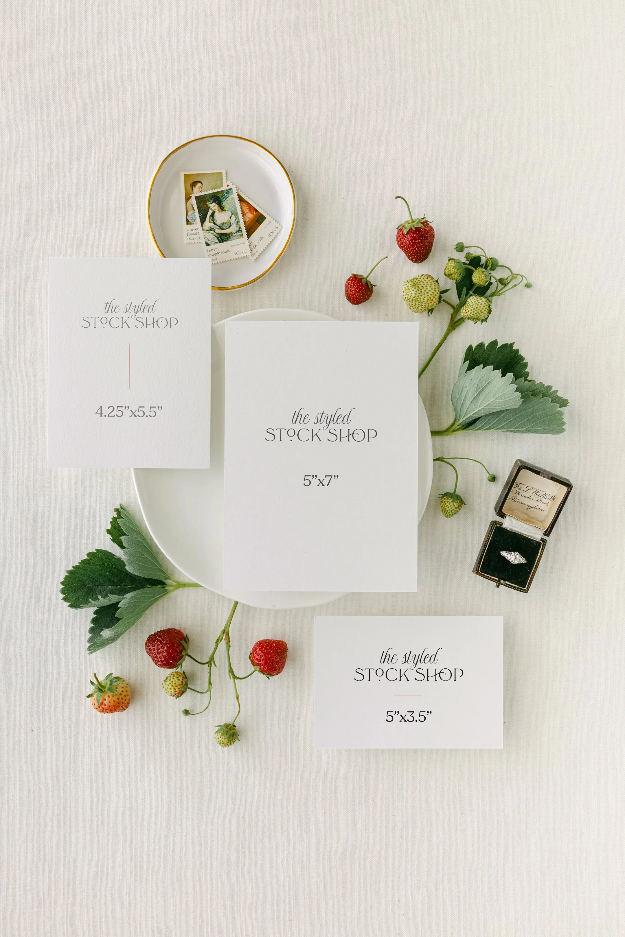 The Styled Stock Shop Strawberry Fields Collection-9_WebRes.jpg