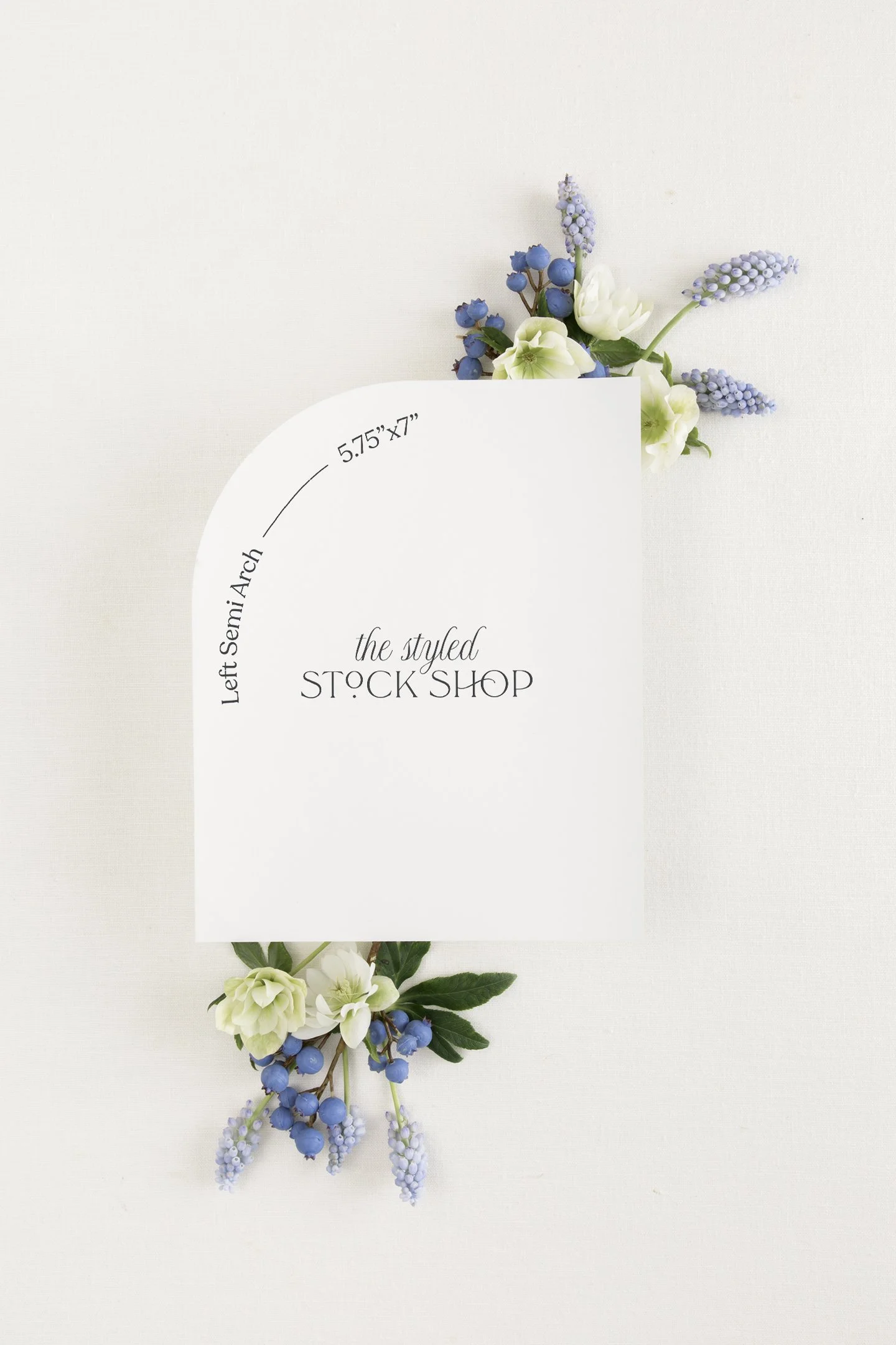 WEB The Styled Stock Shop Blue II Collection (15 of 21).jpg