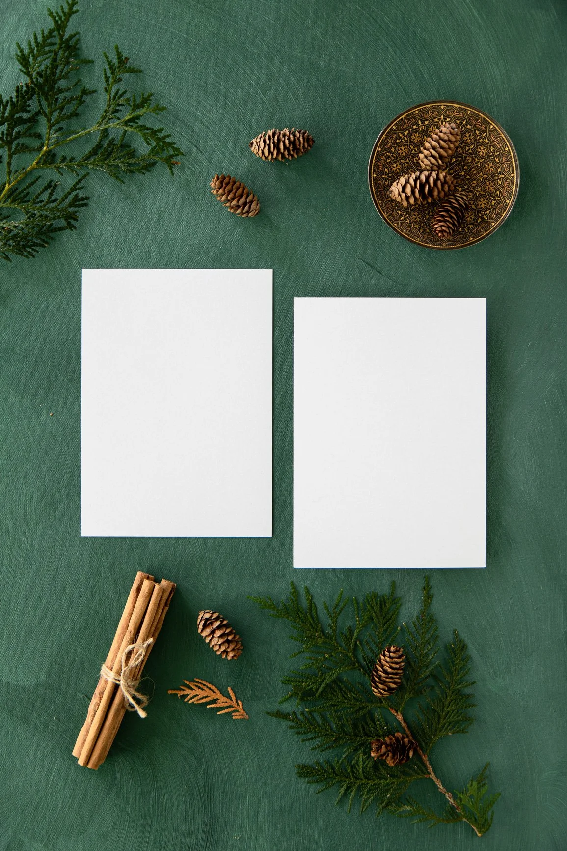 The Styled Stock Shop Holiday Pine Collection-7933.jpg