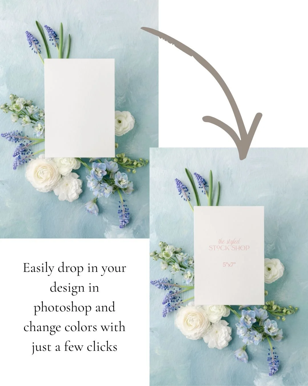 5 image blue sky bundle (1).jpg