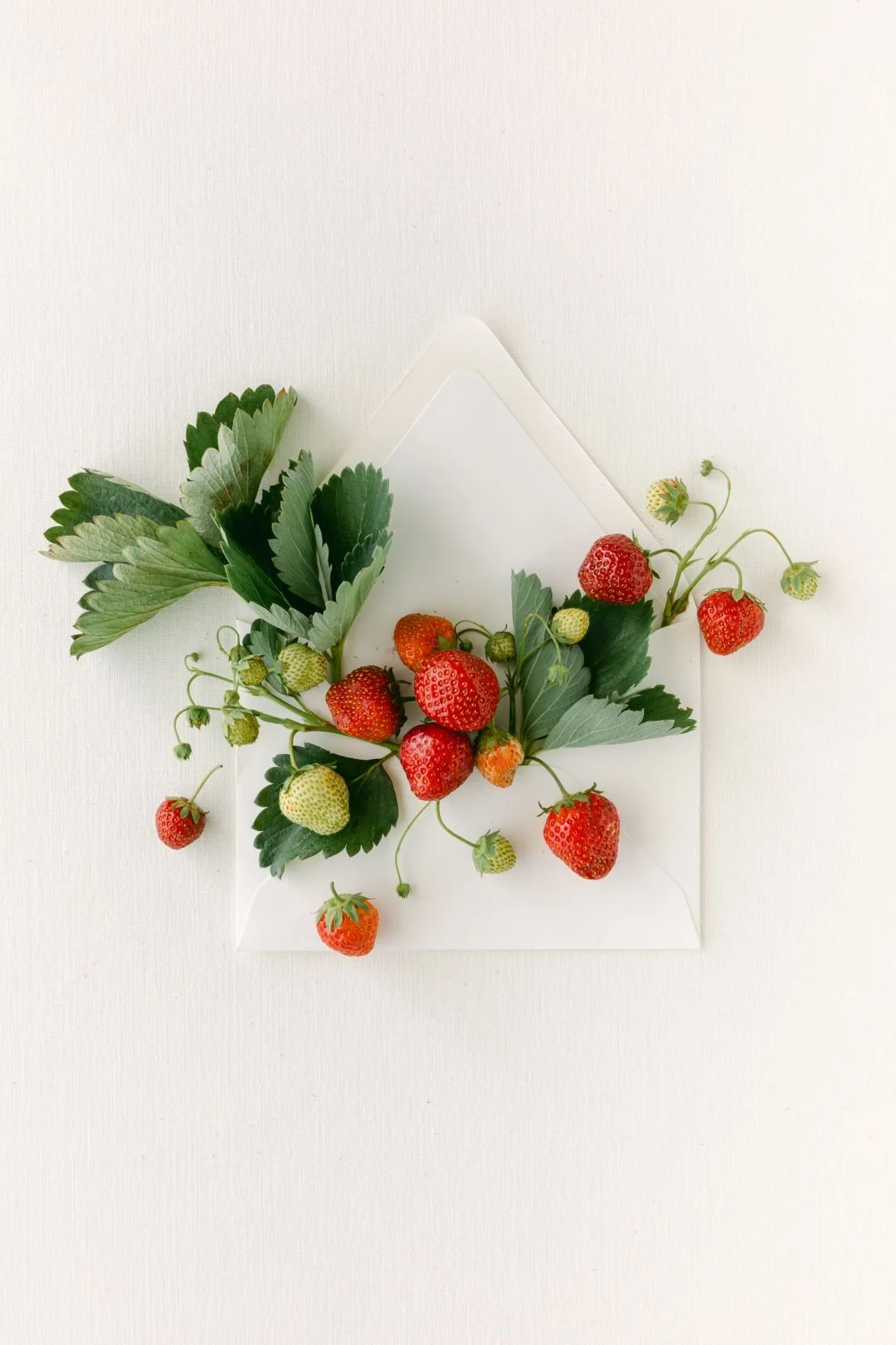 The Styled Stock Shop Strawberry Fields Collection-12.jpg