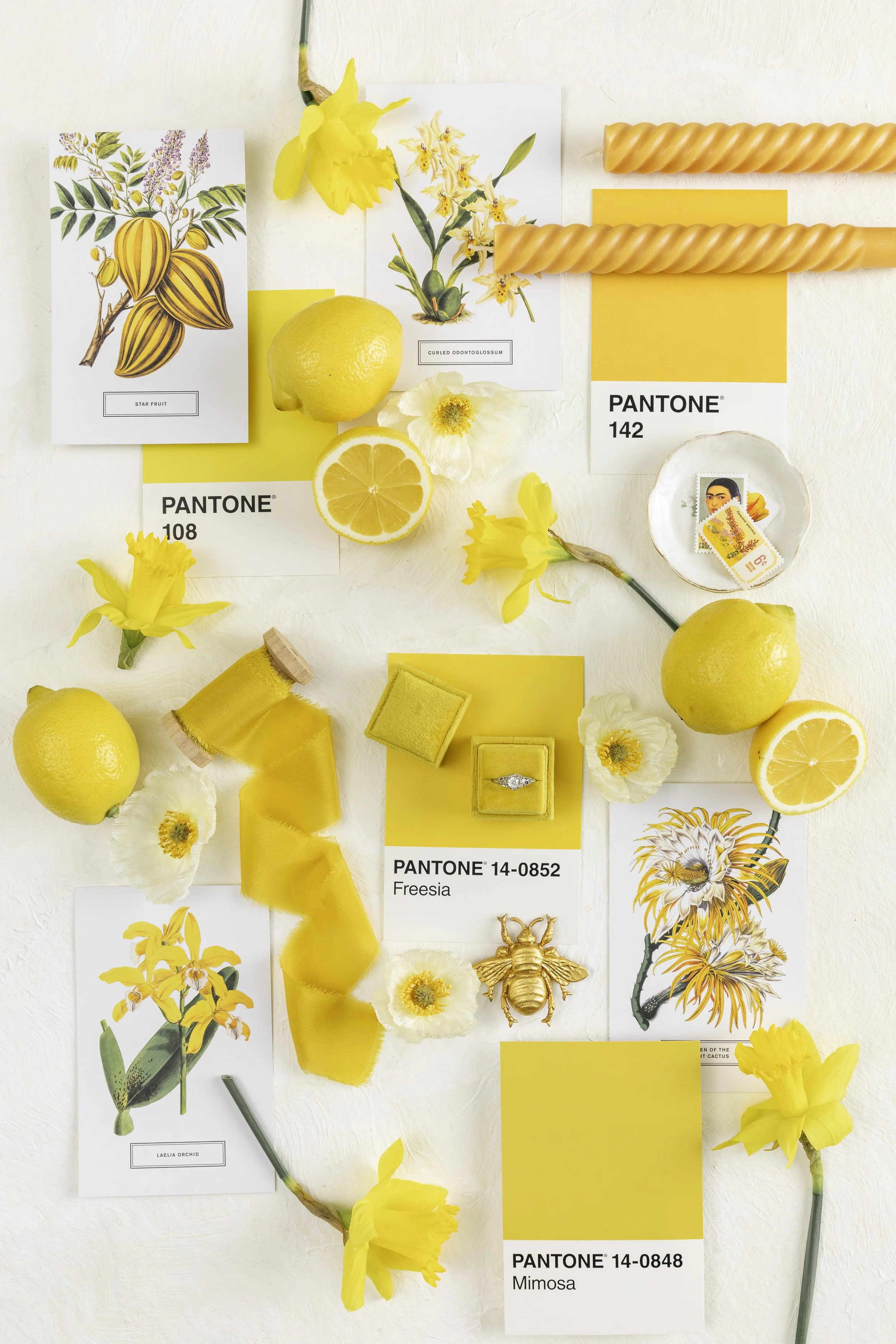 WEB RES The Styled Stock Shop Daffodil Collection (9 of 11).jpg