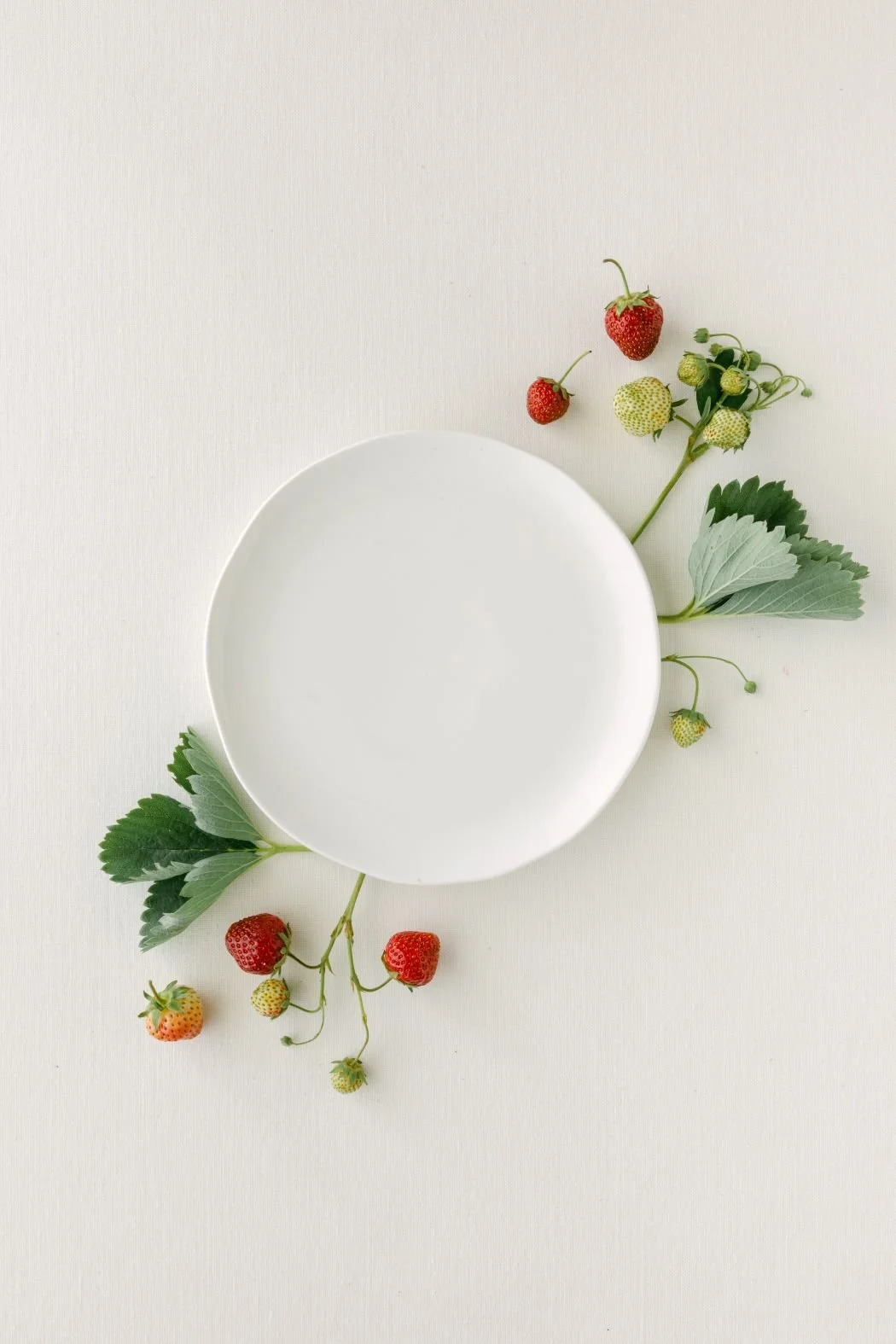 The Styled Stock Shop Strawberry Fields Collection-11.jpg