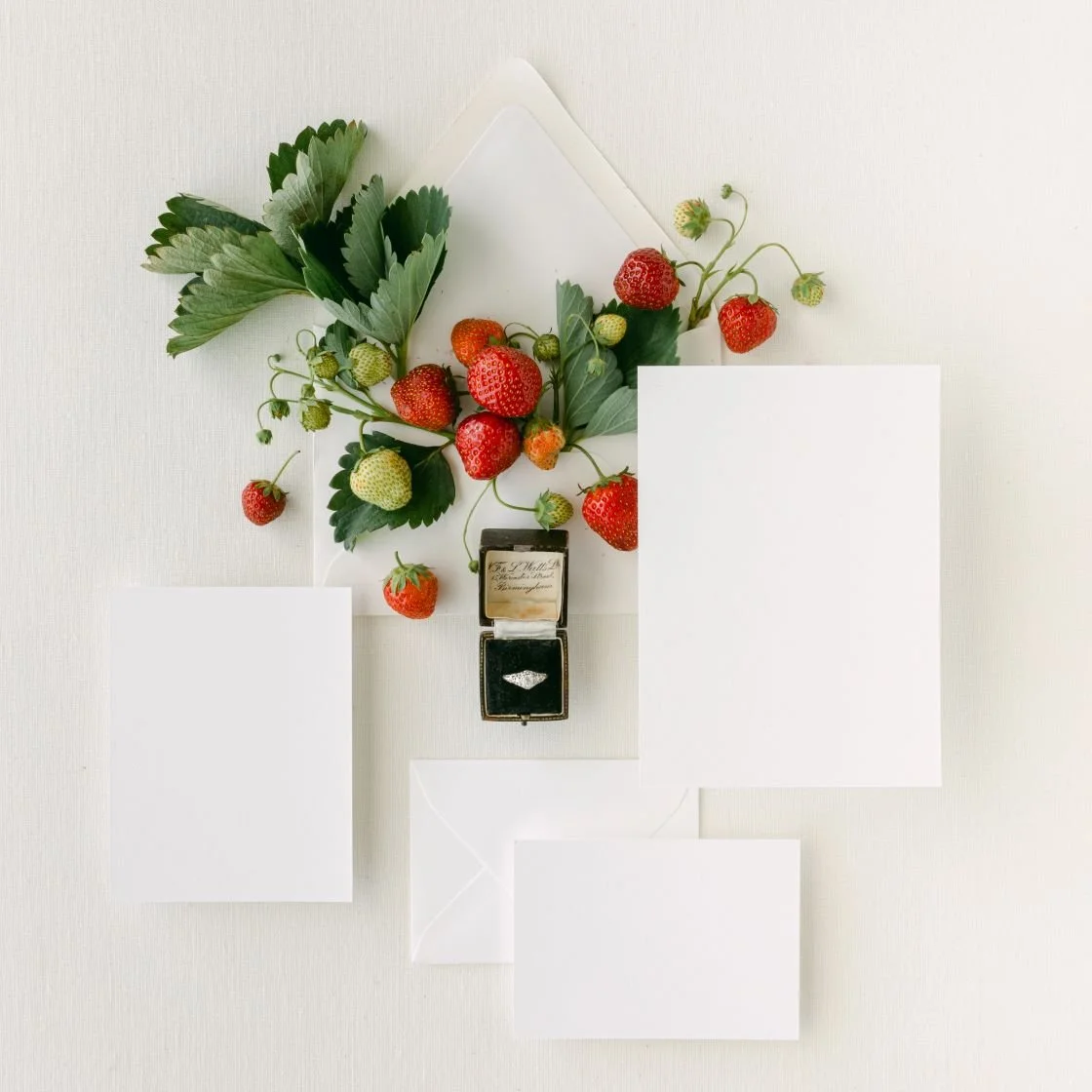 The Styled Stock Shop Strawberry Fields Collection-15.jpg