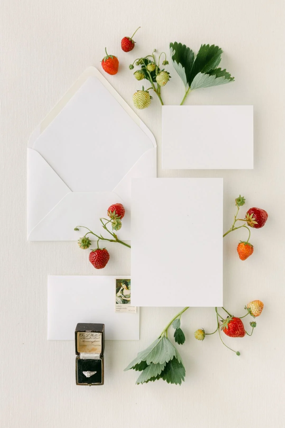 The Styled Stock Shop Strawberry Fields Collection-3.jpg