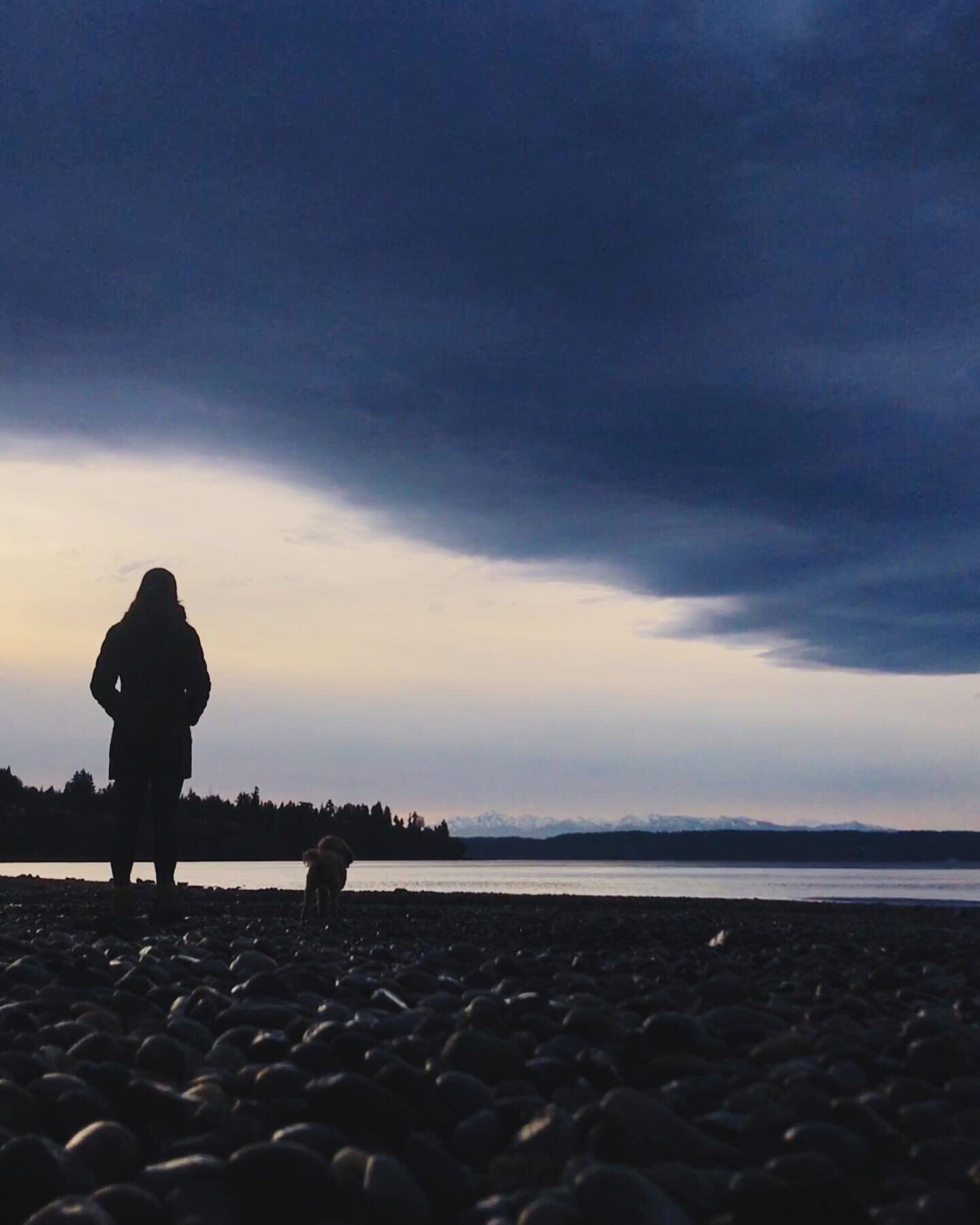 my peaceful place 💜
📍Puget Sound
&bull;
&bull;
&bull; 
#buslife #nomad #washington #pugetsound #cockapoo #rainydays #pluviophile #pluvio #pupcupandabus