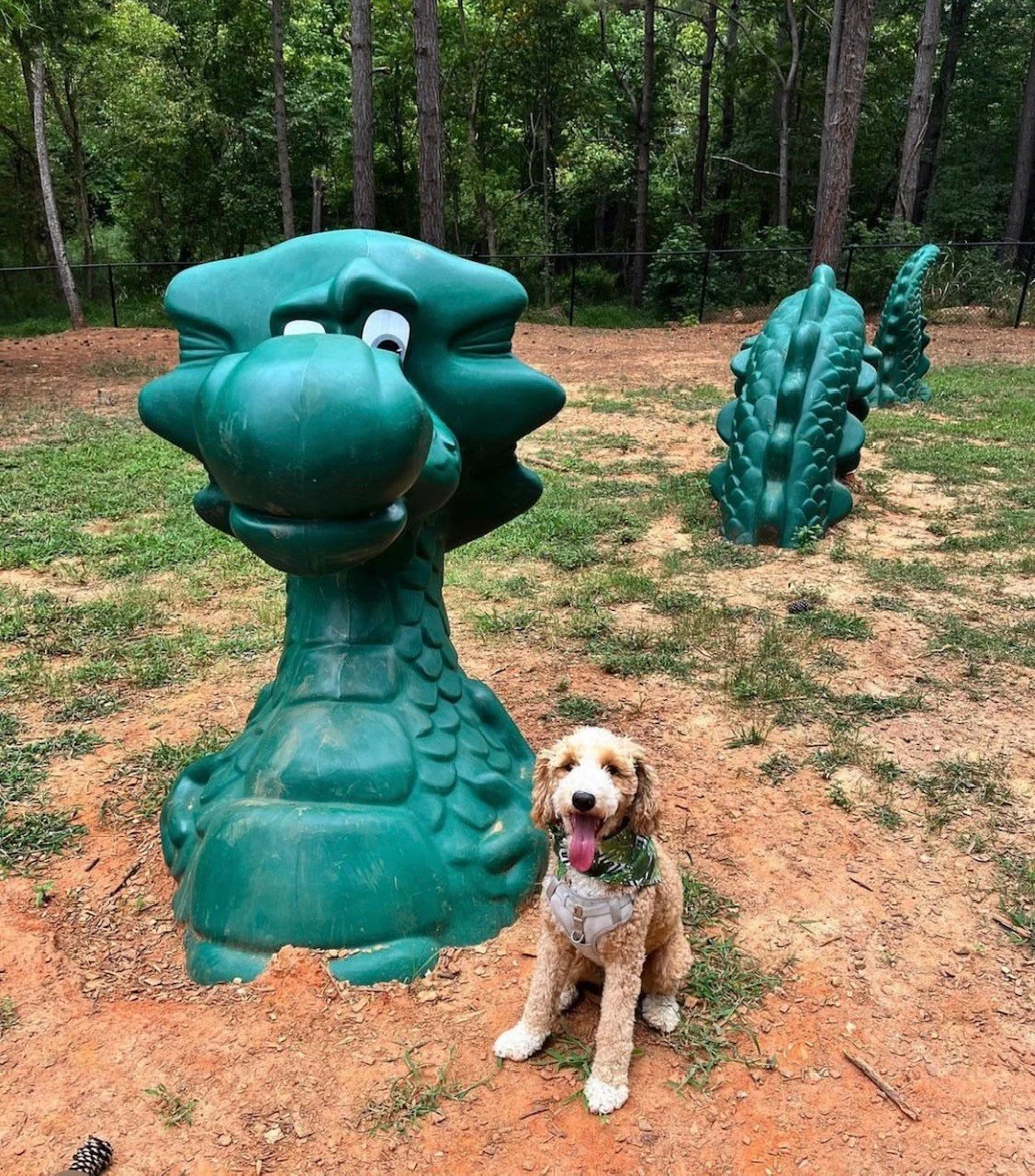 Tyger Run Dog Park