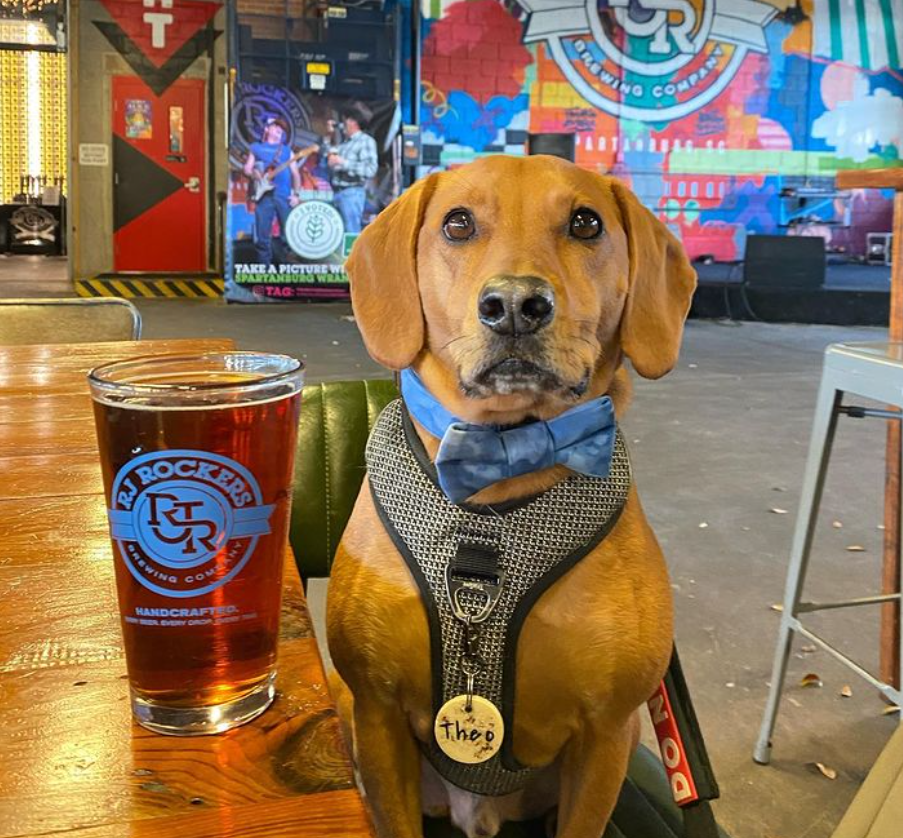 Rockers Brewing Co.