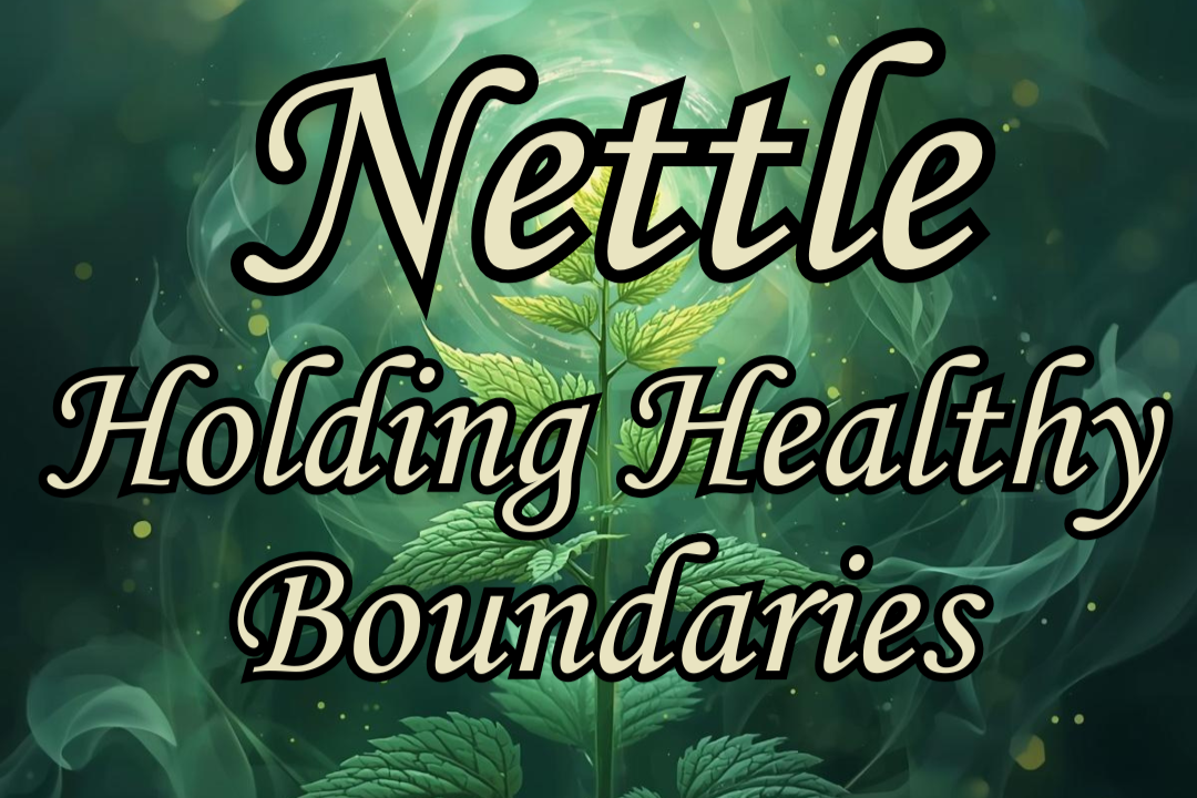 NETTLE: Holding Healthy Boundaries