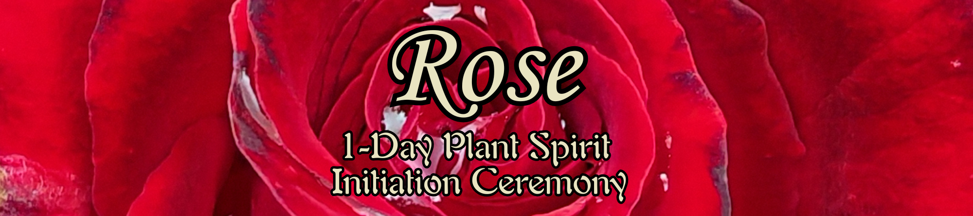 ROSE: 1-Day Plant Spirit Initiation Ceremony