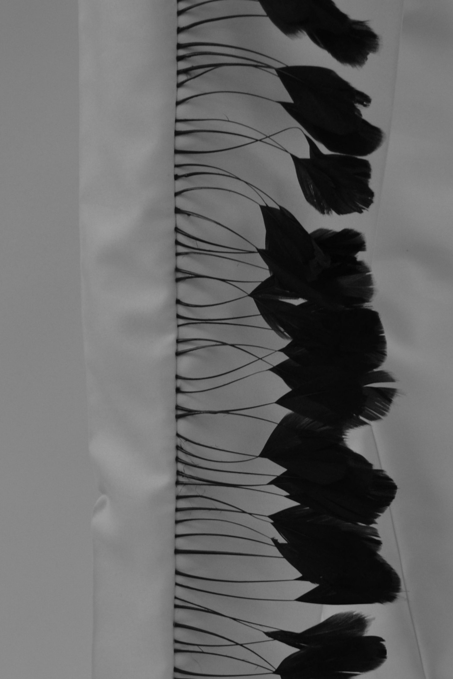 black feather embroidery on white silk