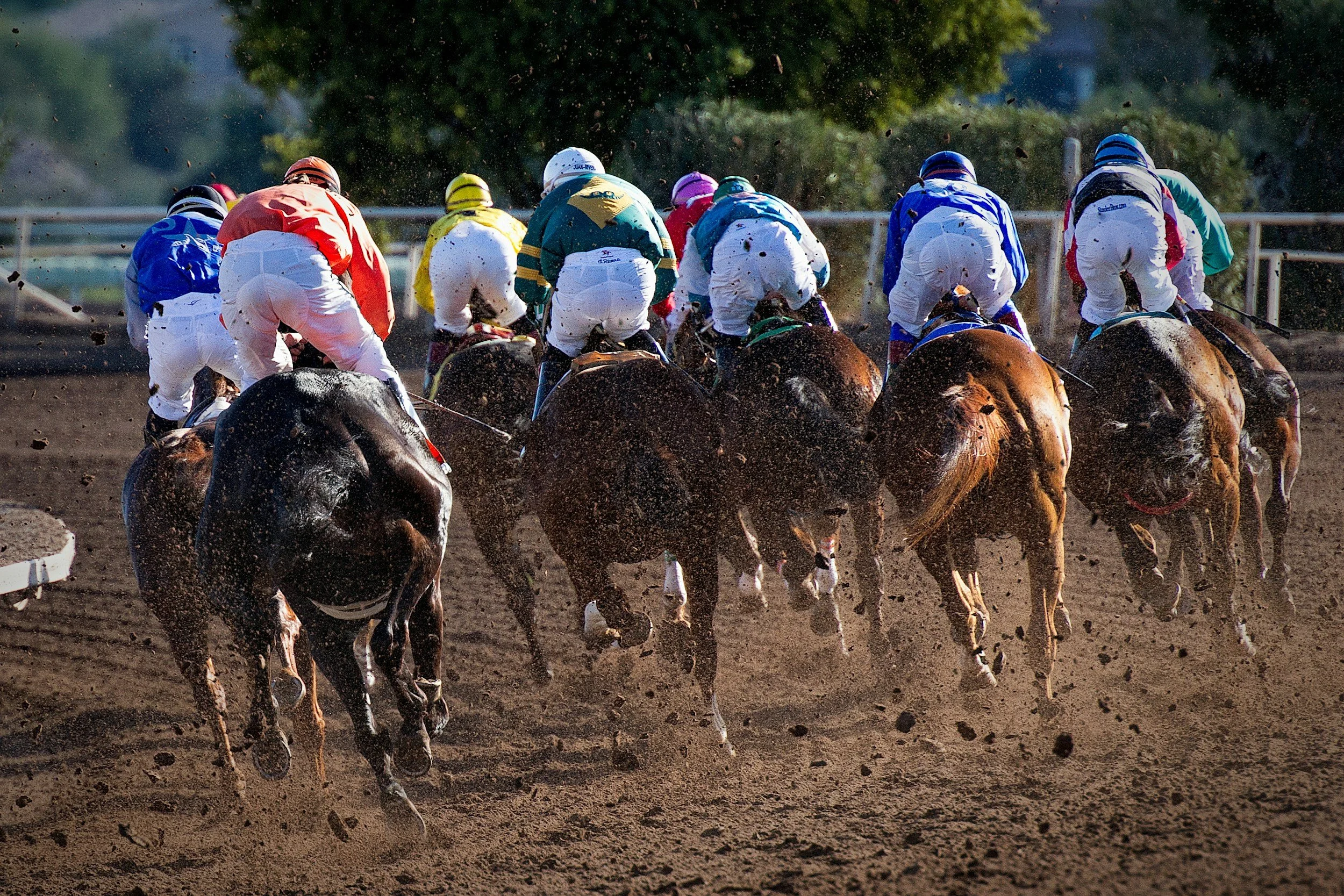 Lessons from Race Horses and Vegetable Soup