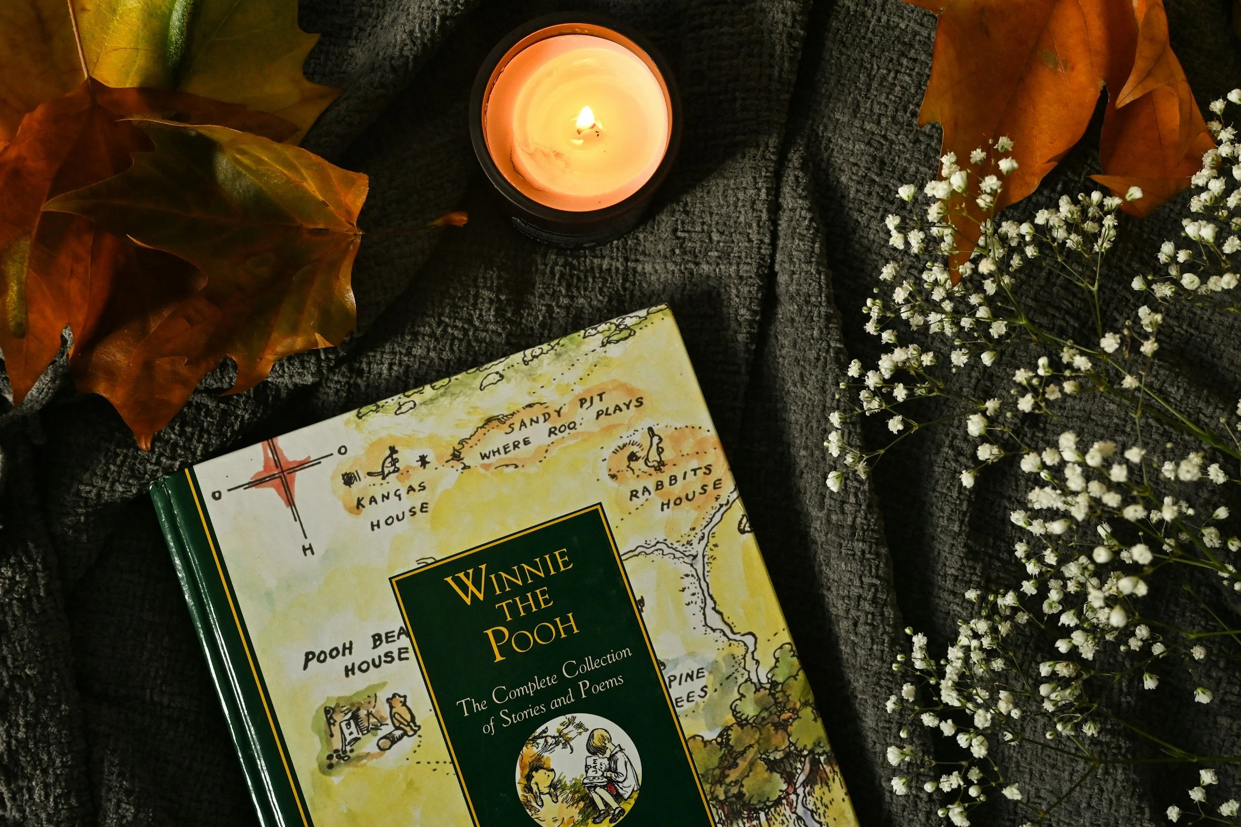 You and Winnie the Pooh