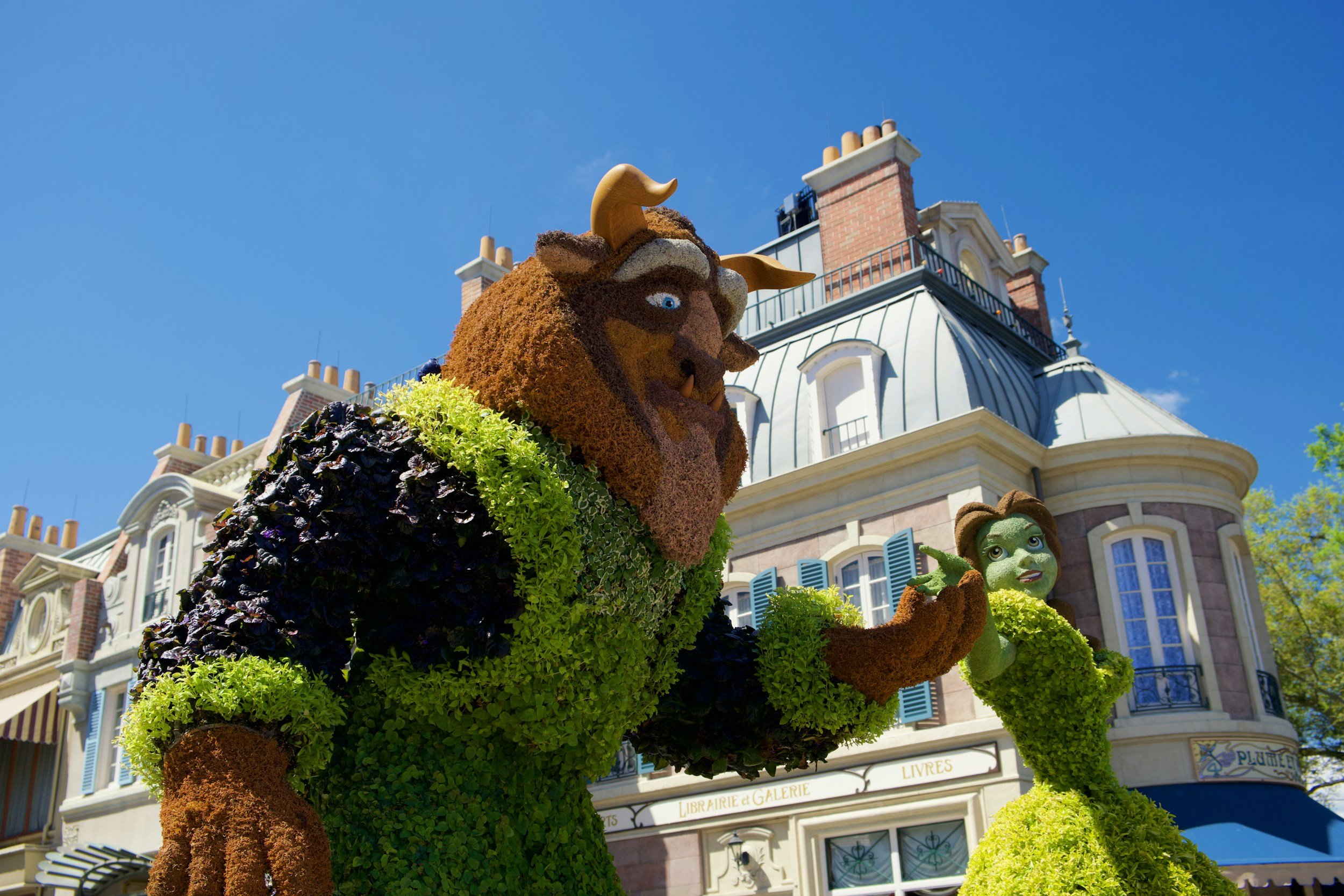 Seeing Beauty in the Beast