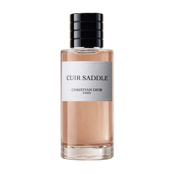 Dior Cuir Saddle