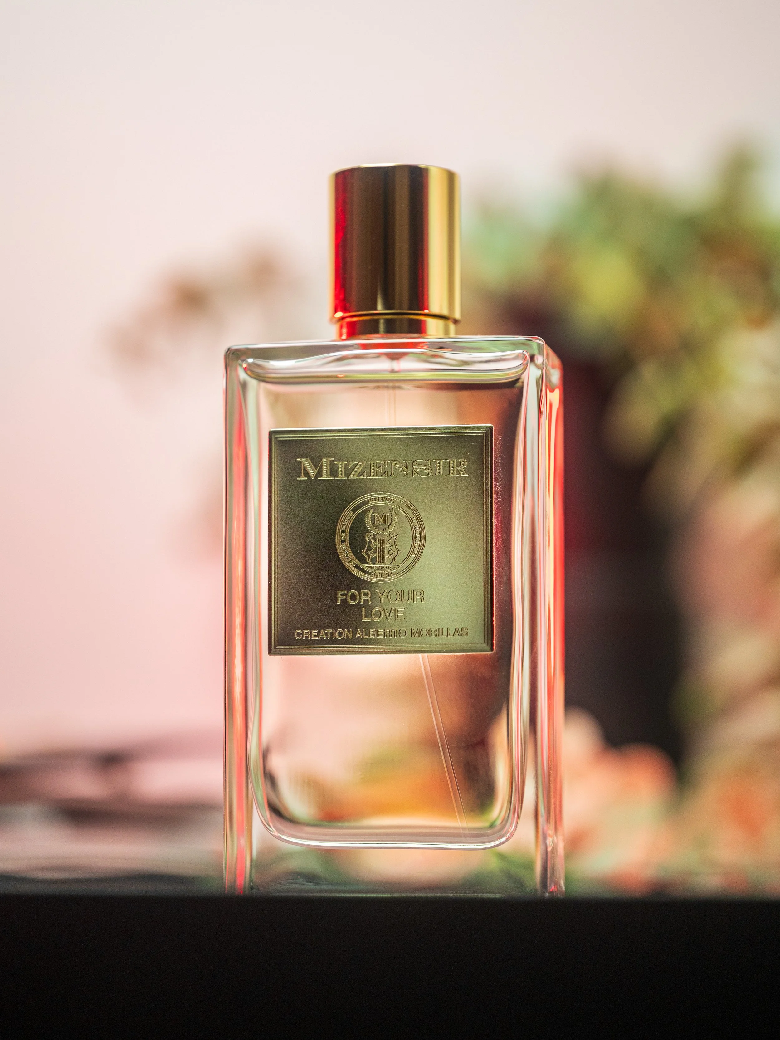 Mizensir For Your Love