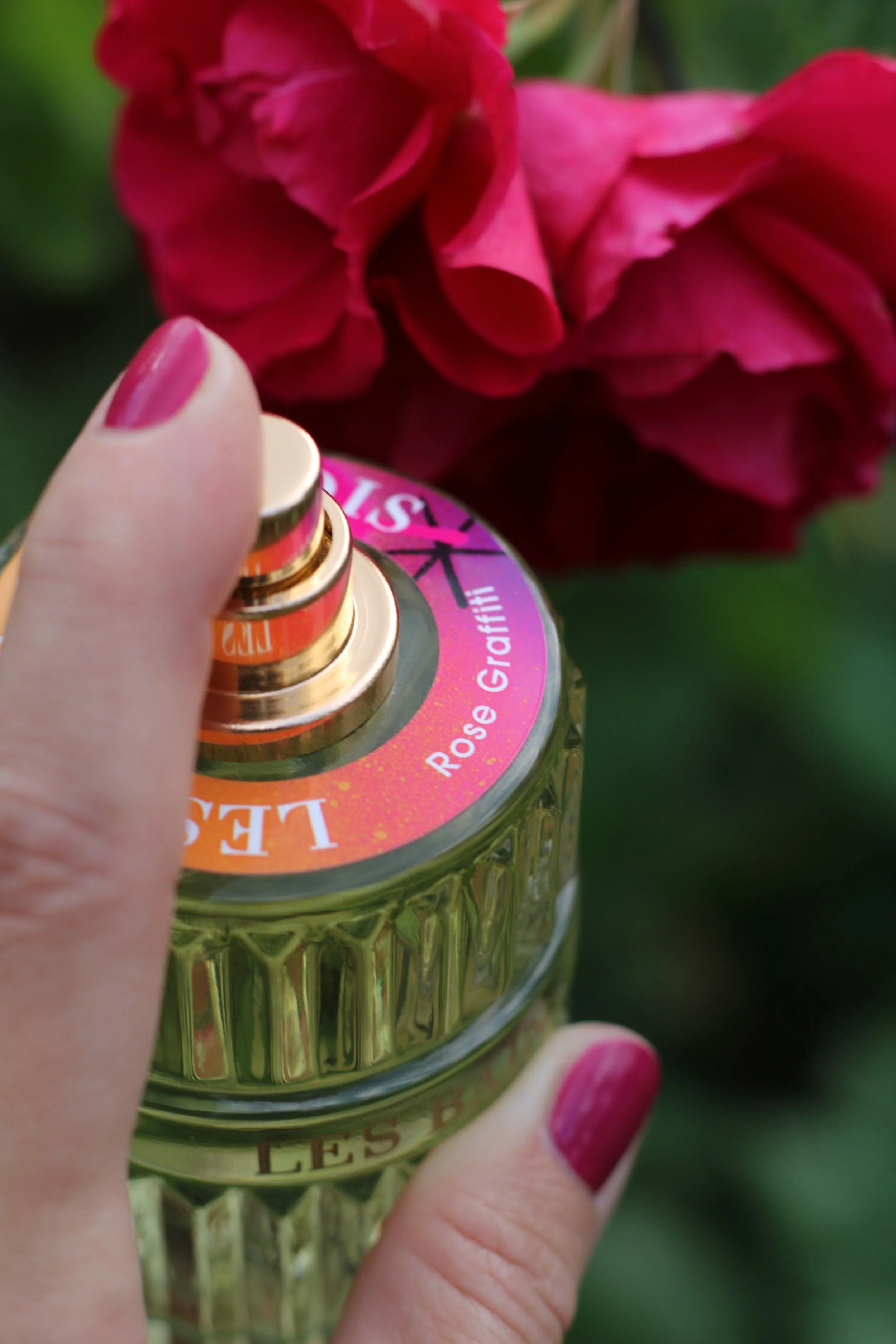 Rose Graffiti by Les Bains Guerbois