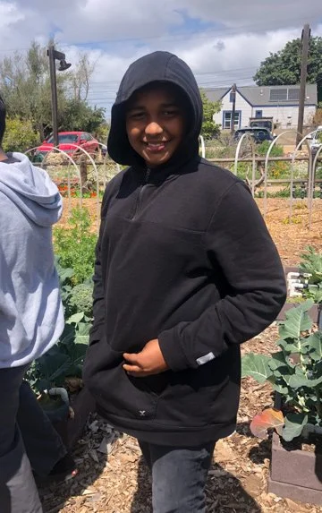 Garden-.jpg